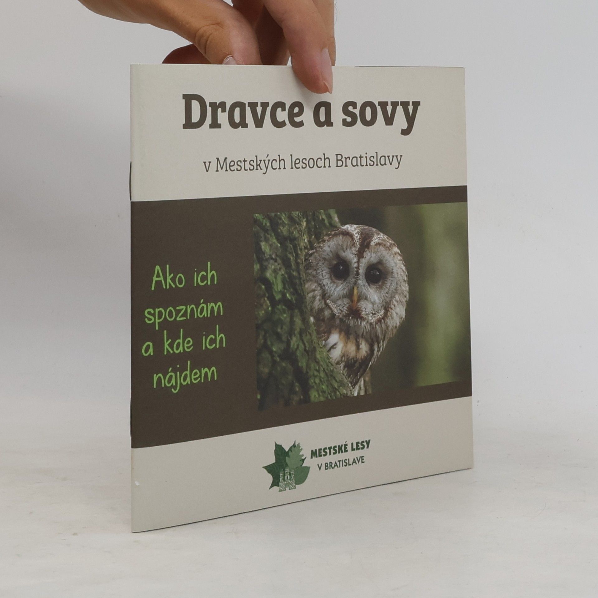Autorenkollektiv Dravce a sovy v Mestských lesoch Bratislavy
