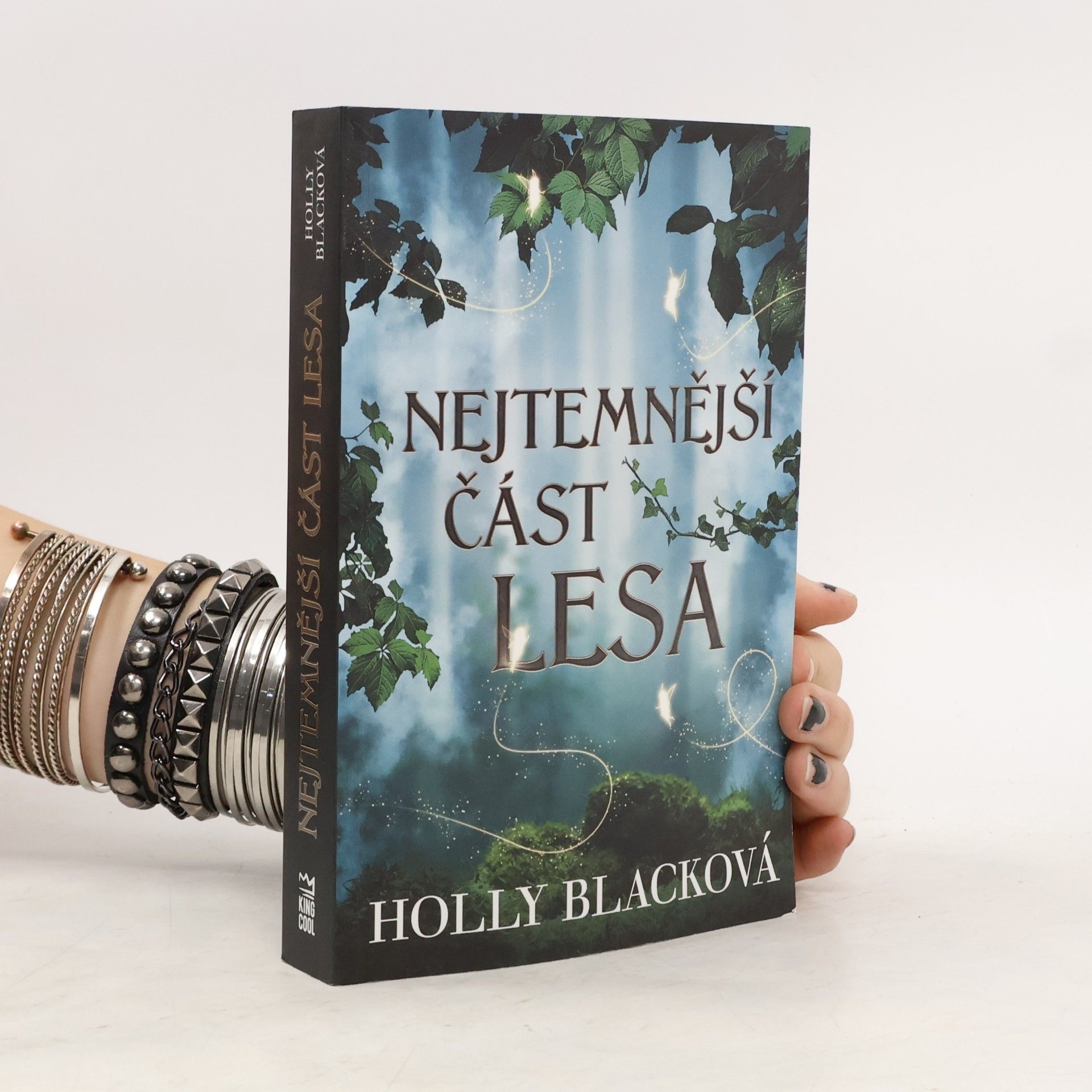 Holly Black Nejtemnější část lesa