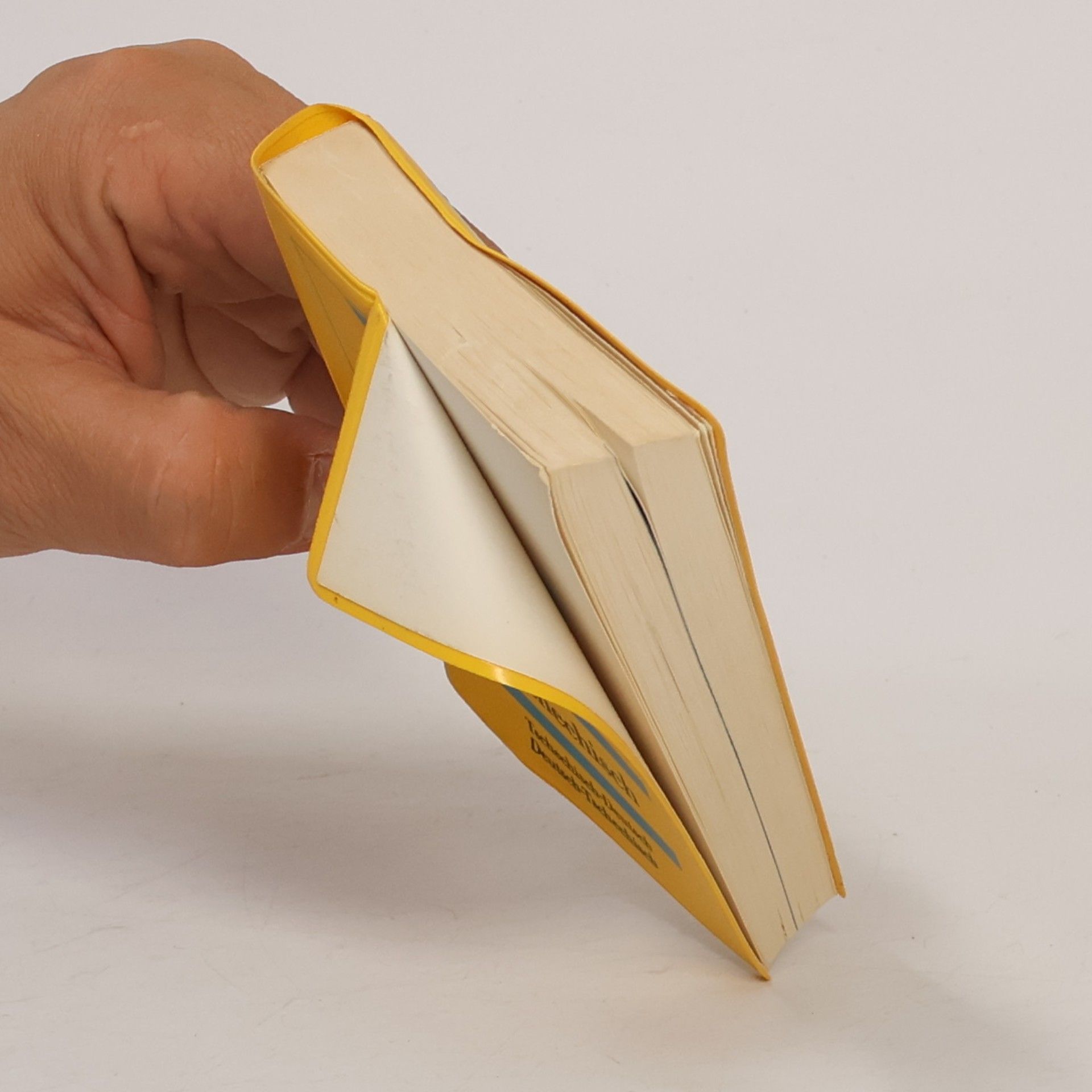 Autorenkollektiv Langenscheidts Universal-Wörterbuch: Tschechisch