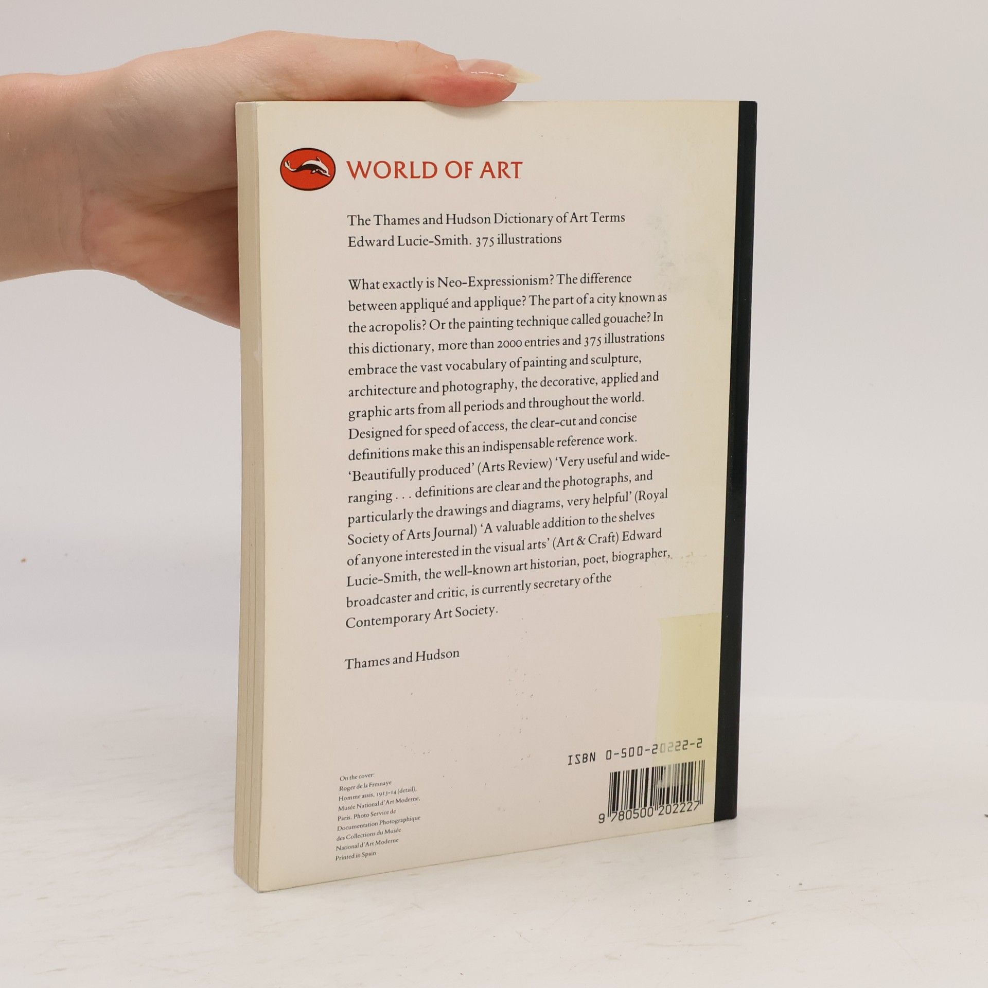 Edward Lucie-Smith The Thames and Hudson Dictionary of Art Terms