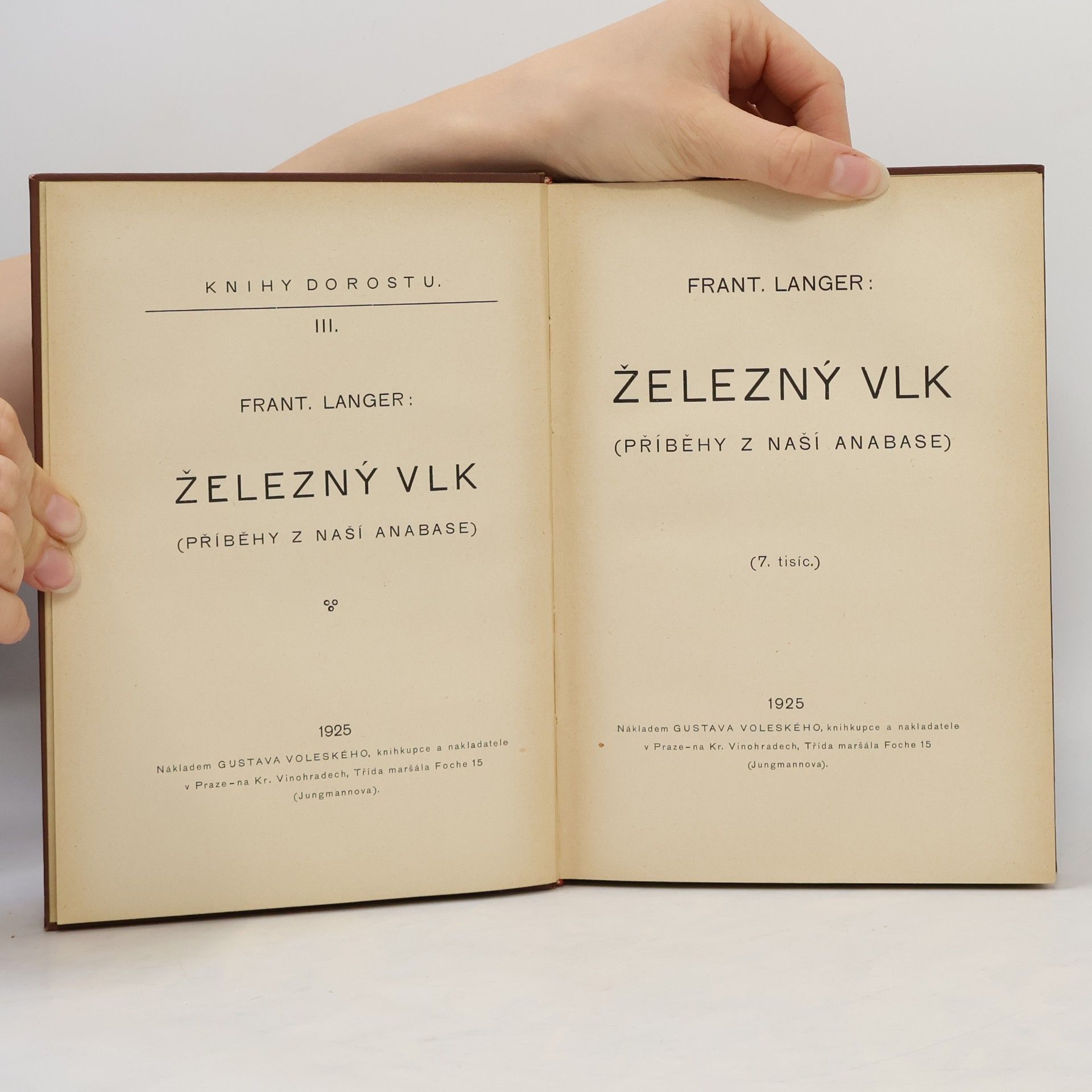 František Langer Železný vlk