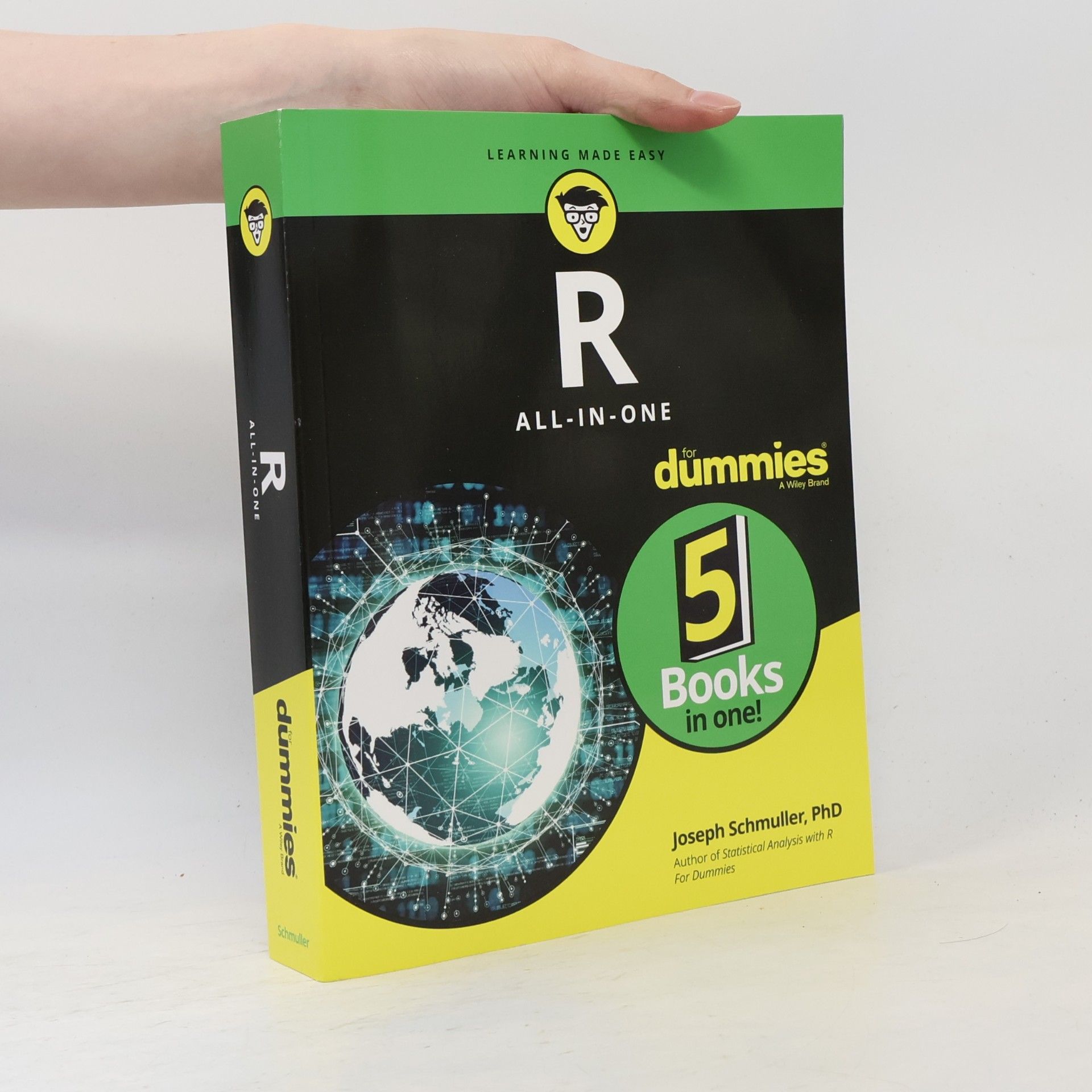 Joseph Schmuller R All-in-One For Dummies