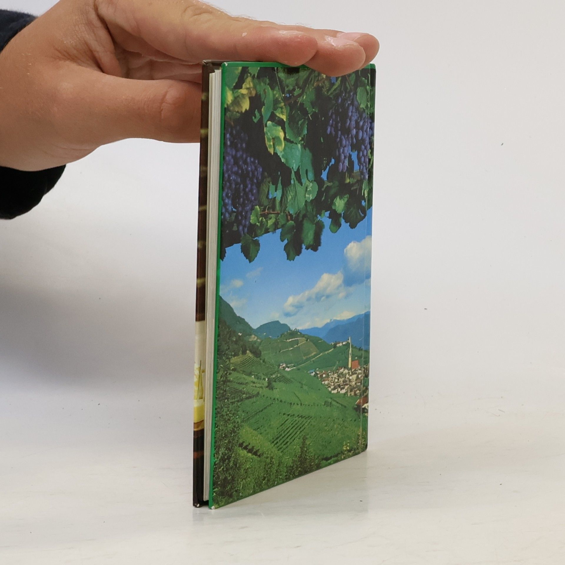 Autorenkollektiv Mein kleines Weinbuch