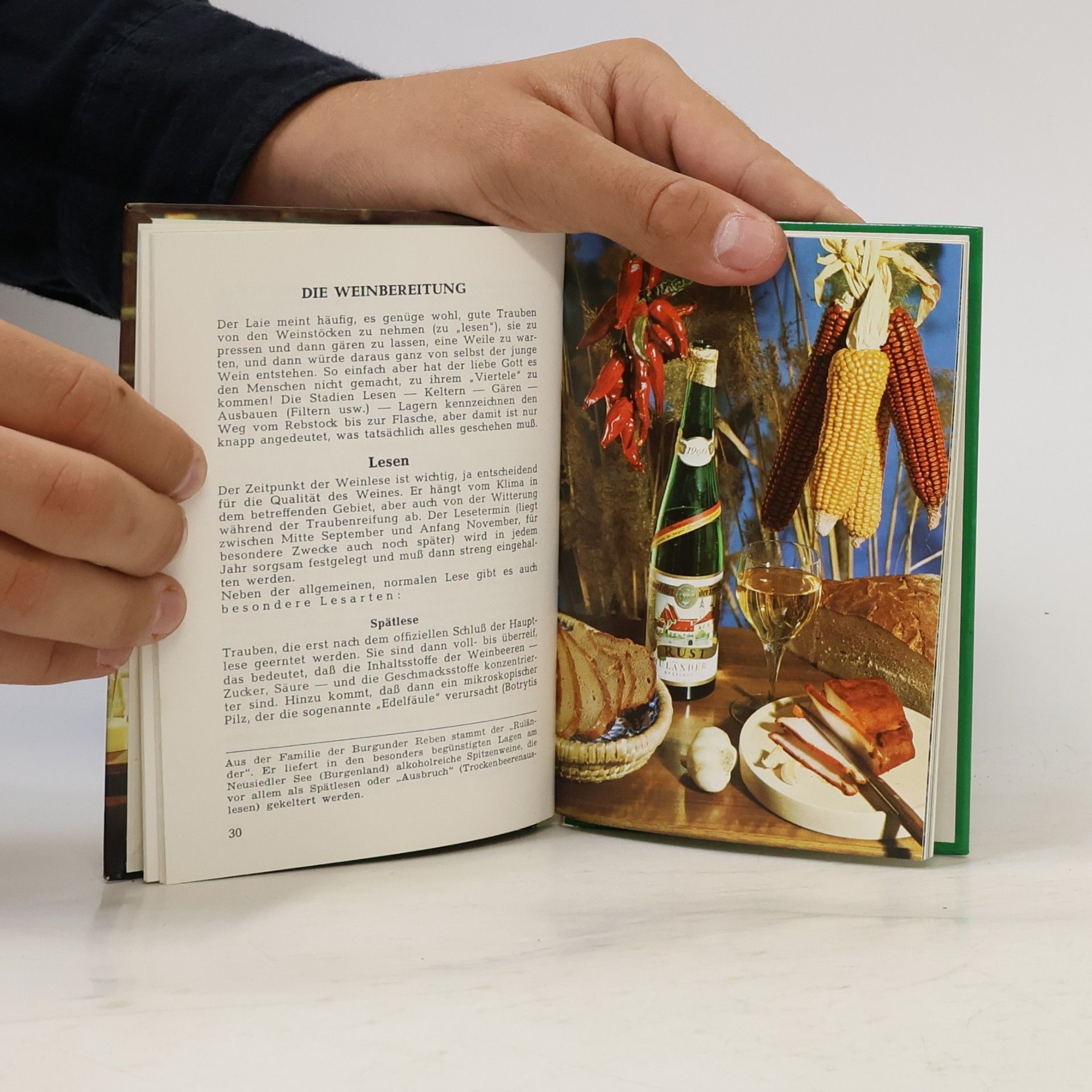 Autorenkollektiv Mein kleines Weinbuch