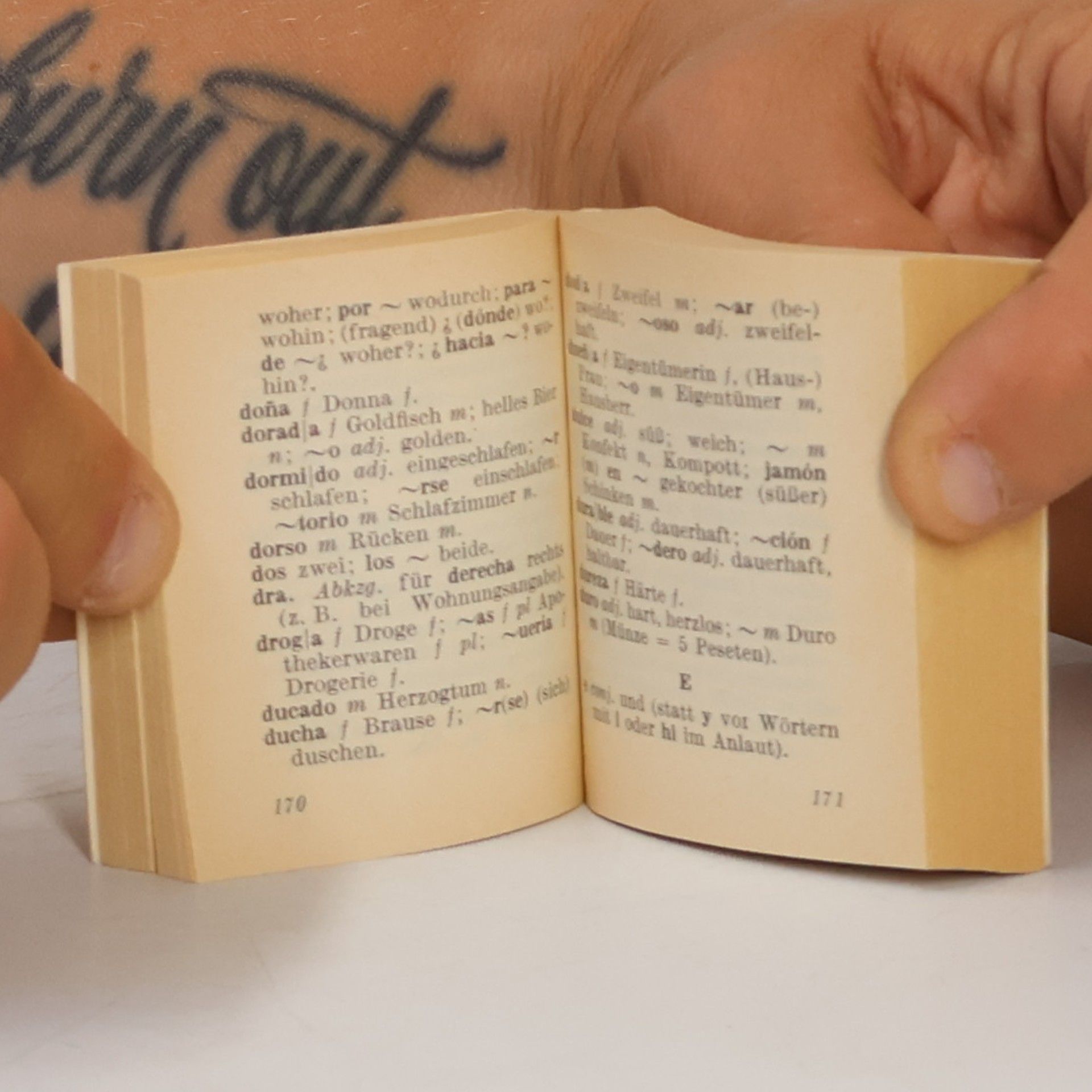Spanisch-deutsches Wörterbuch