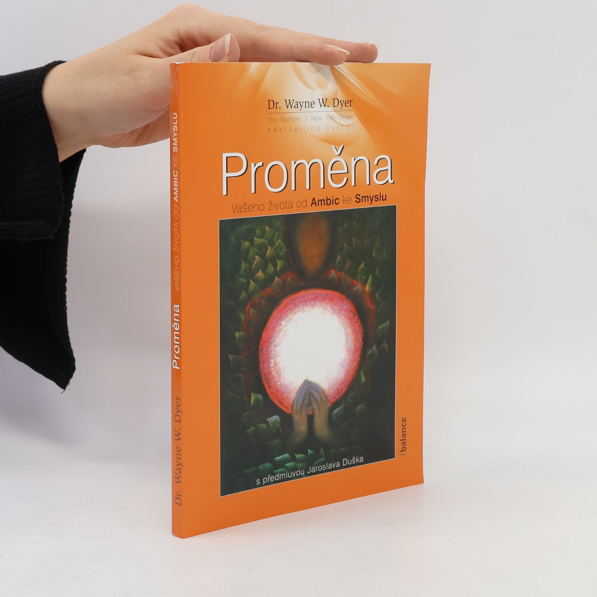 Wayne W. Dyer Proměna vašeho života od ambic ke smyslu