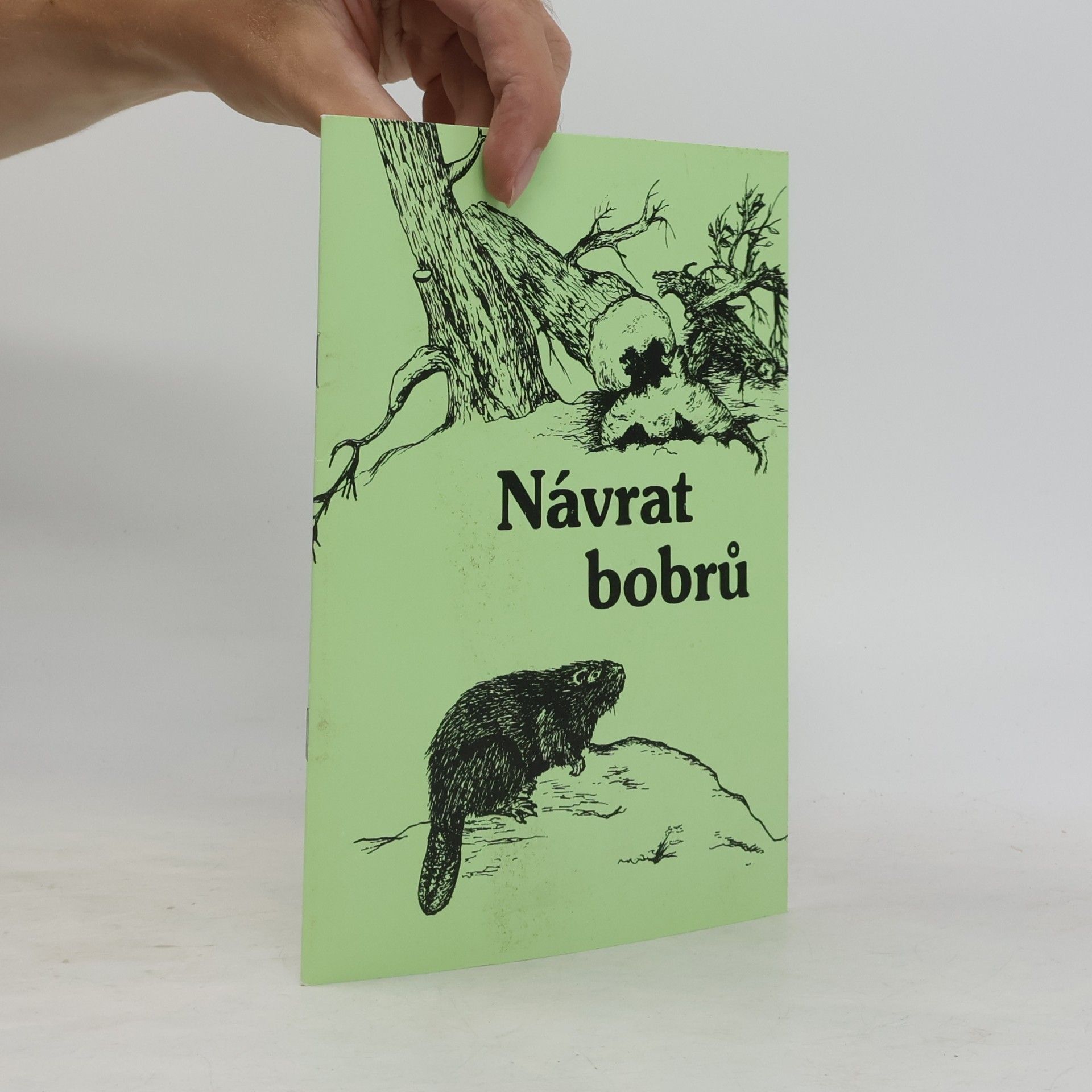 R. Zajíček Návrat bobrů