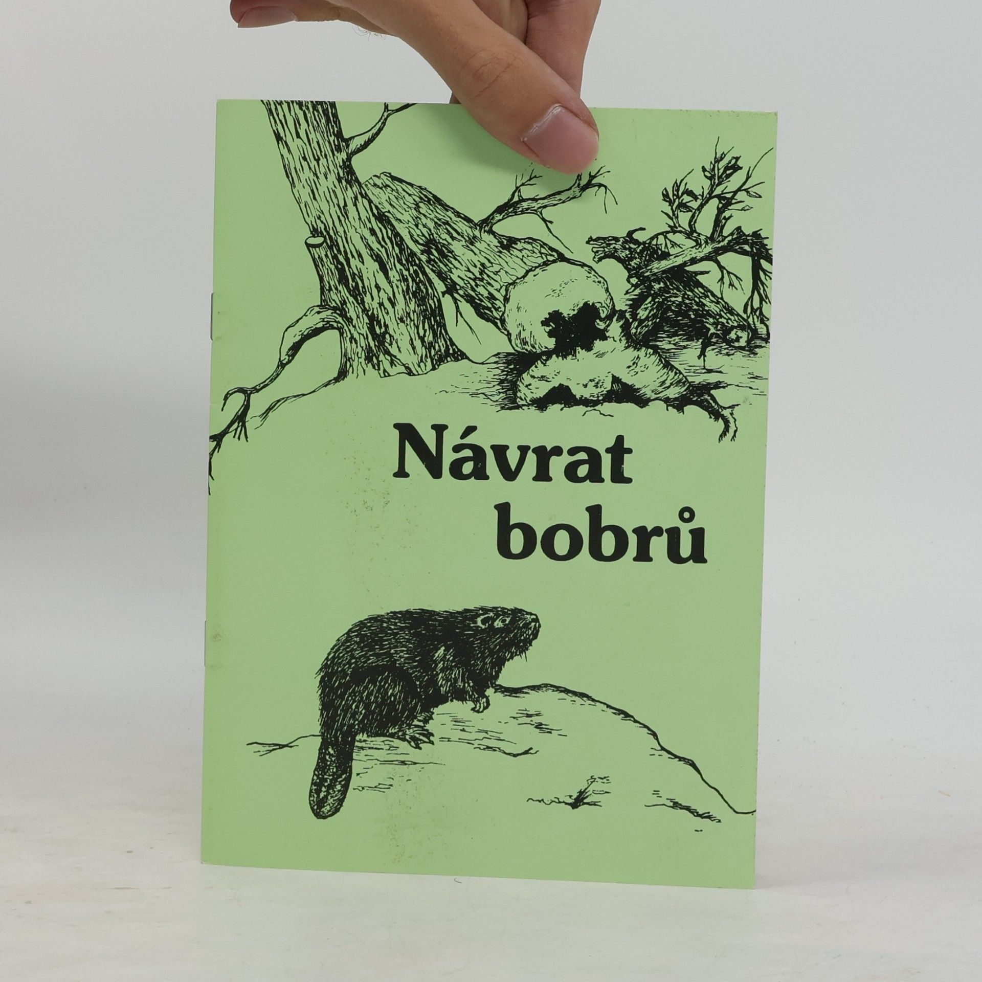 R. Zajíček Návrat bobrů