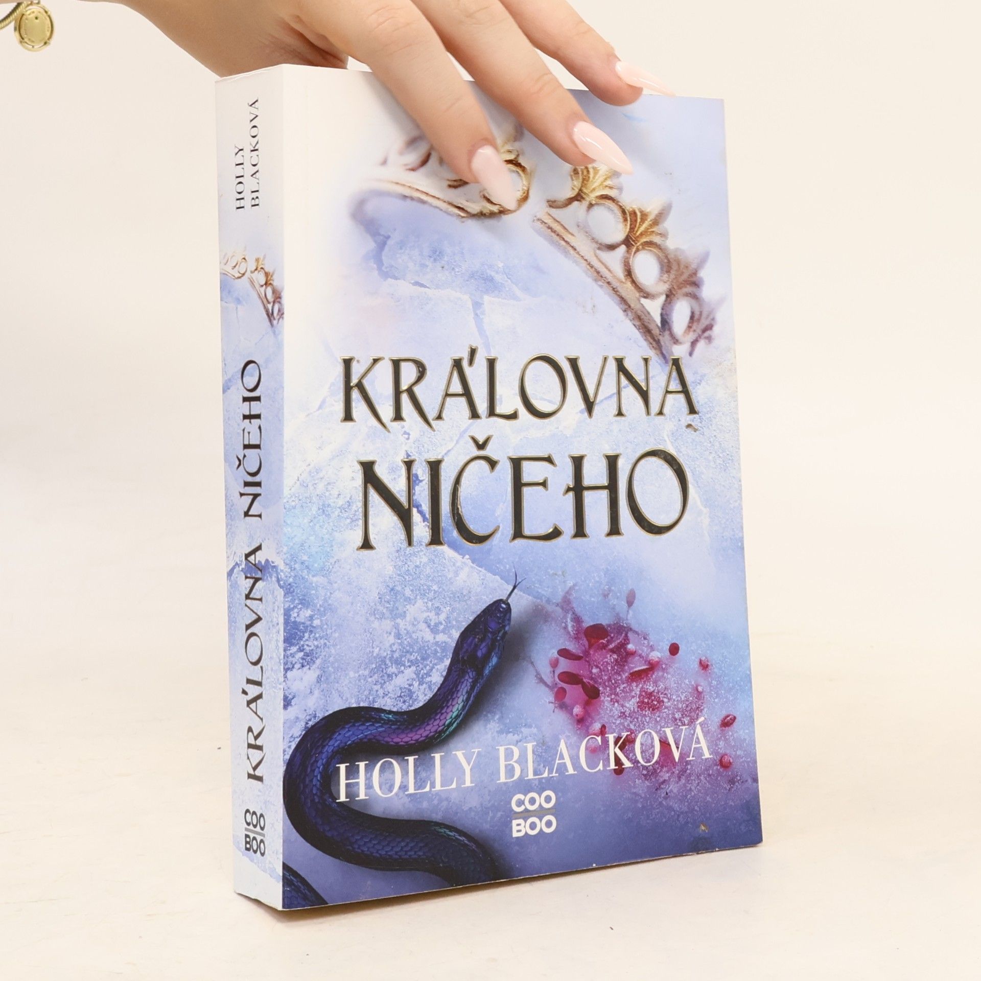 Holly Black Královna ničeho