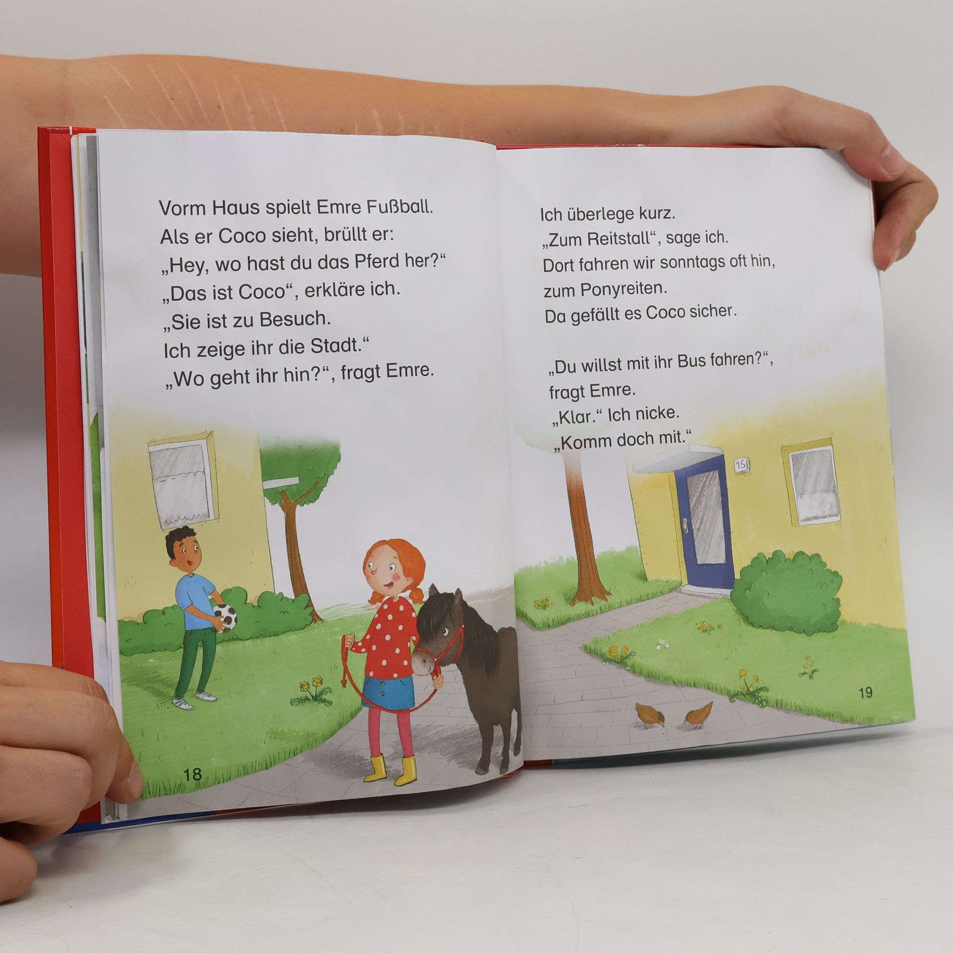 Julia Breitenöder Rabenstarke Ponygeschichten für Erstleser