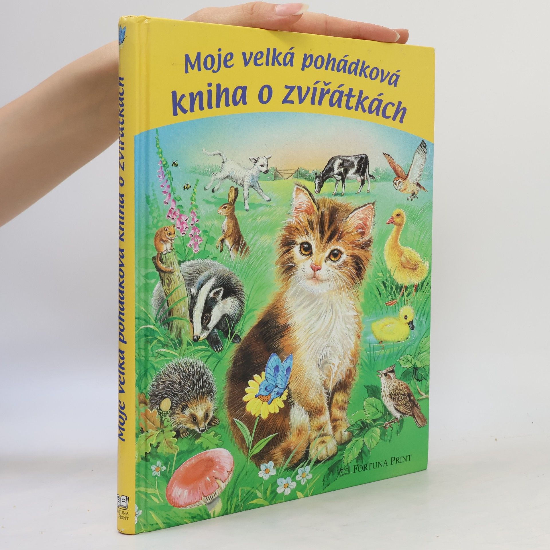 Erika Scheuering Moje velká pohádková kniha o zvířátkách