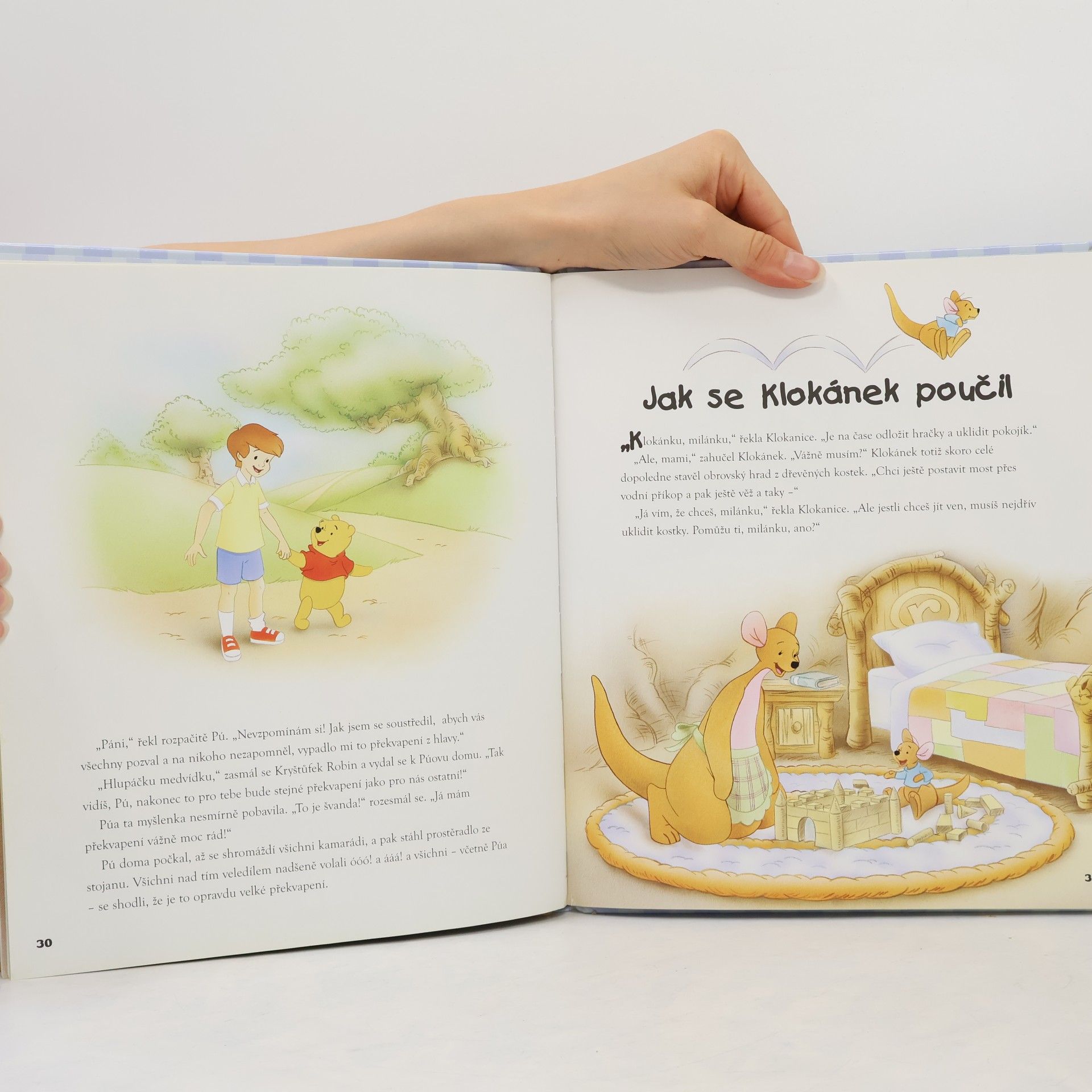 Various authors Medvídek Pú : pohádky na dobrou noc : [vyprávění o kamarádech ze Stokorcového lesa]
