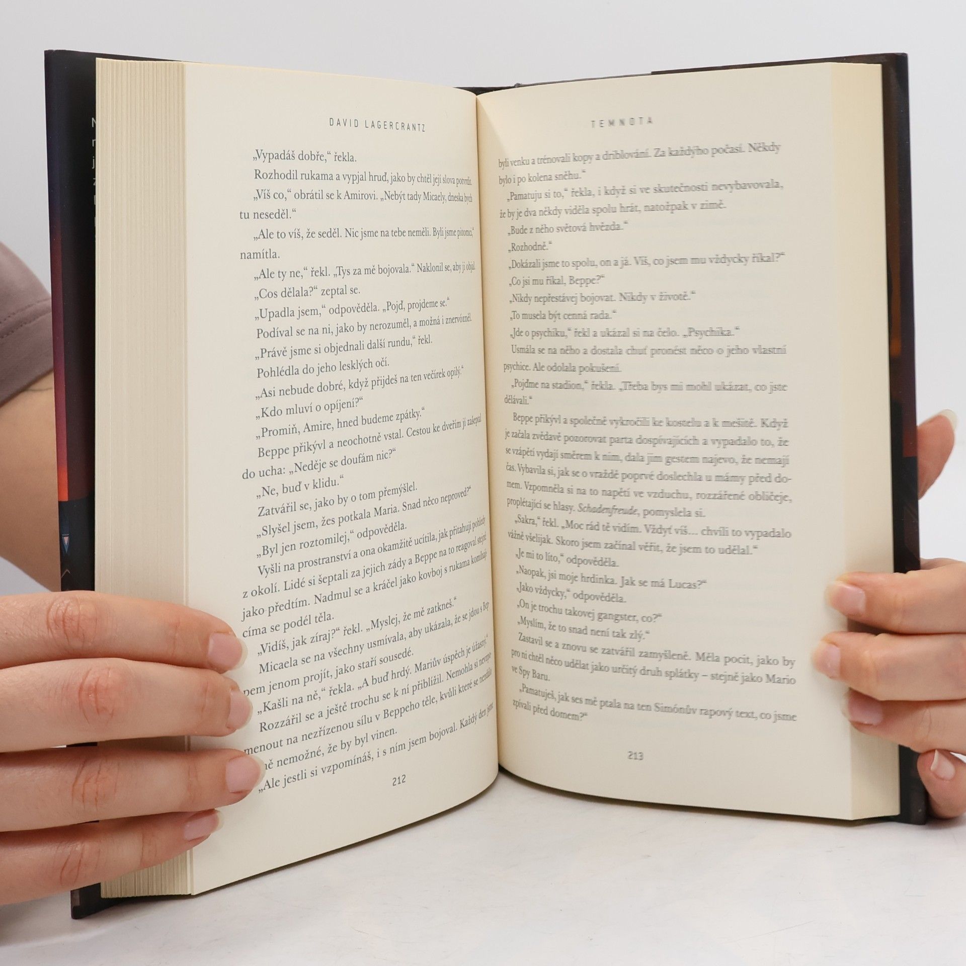 David Lagercrantz Temnota
