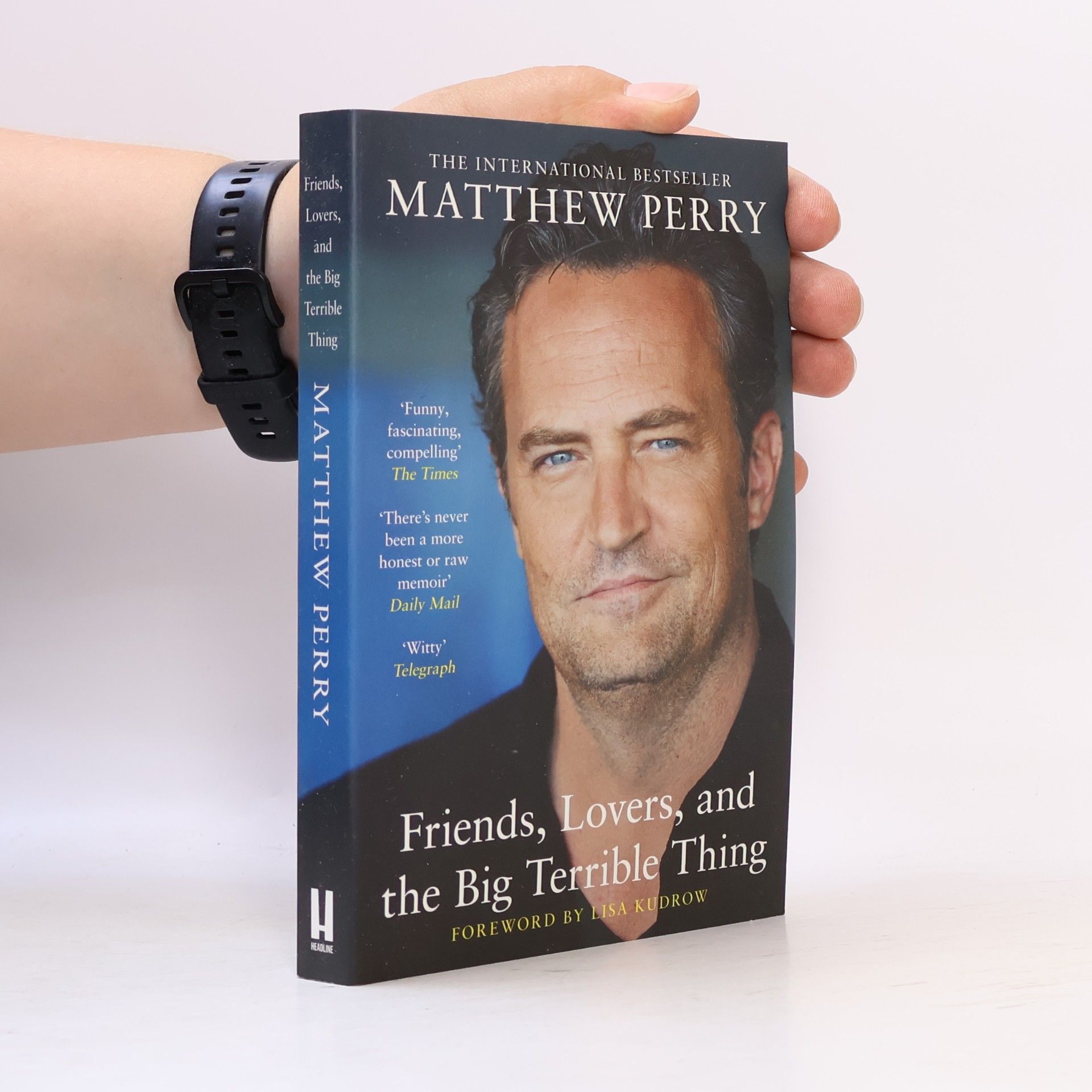 Matthew Perry Friends, Lovers and the Big Terrible Thing