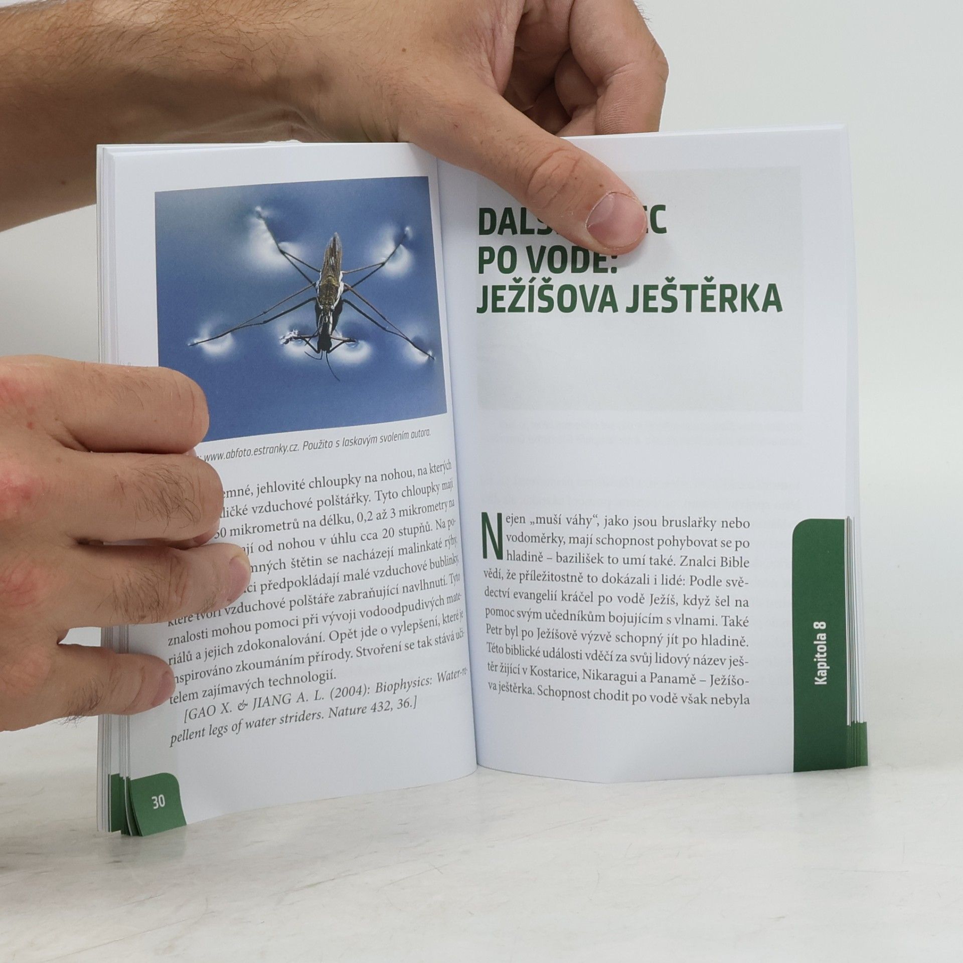 Reinhard Junker Obdivuhodná tajemství ze světa přírody. Zvířata