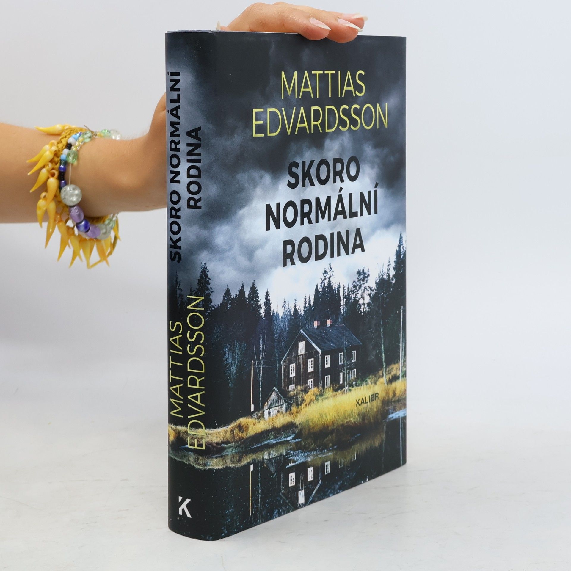 Mattias Edvardsson Skoro normální rodina