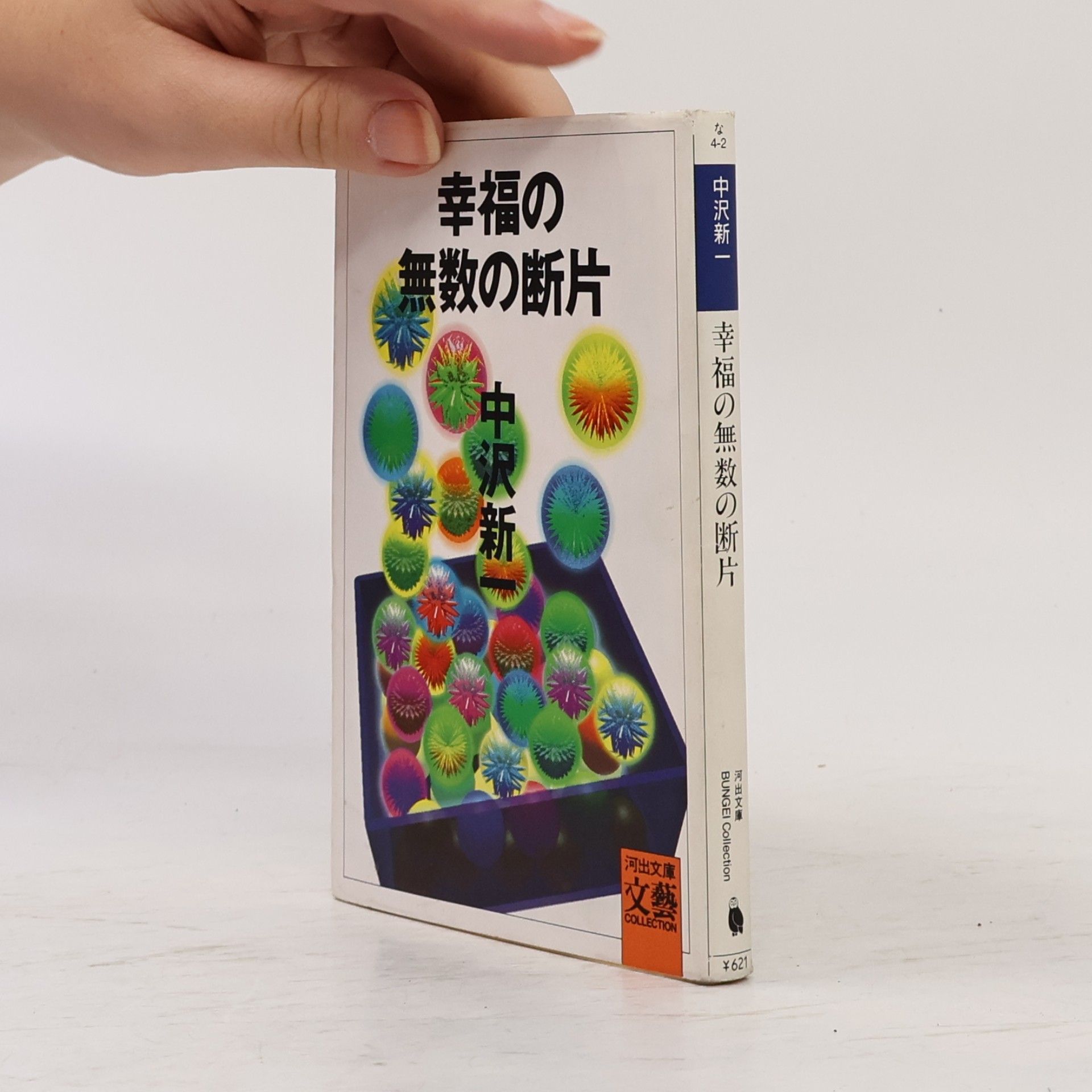 中沢新一 河出文庫―BUNGEI Collection: 幸福の無数の断片