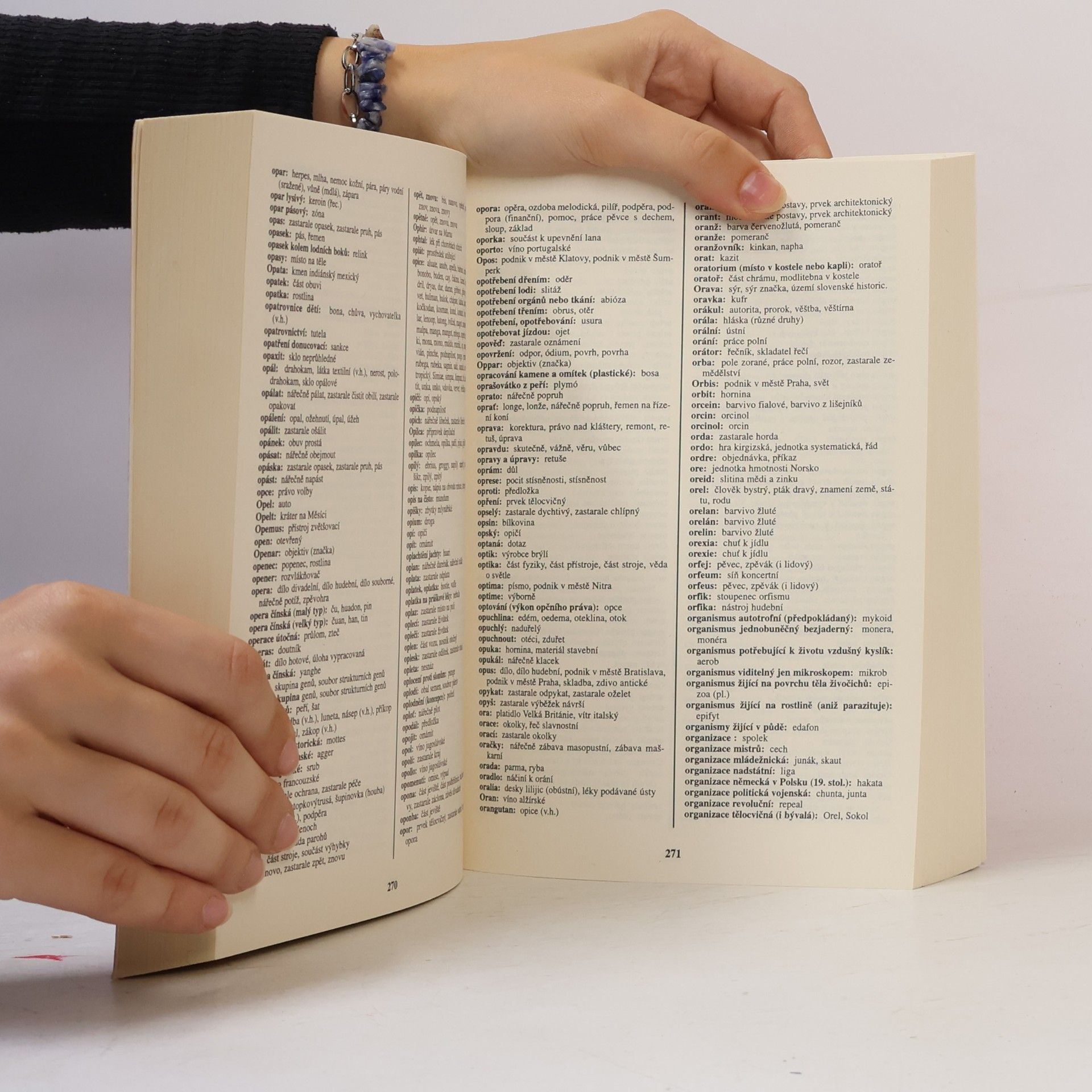 Autorenkollektiv Křížovkářský slovník