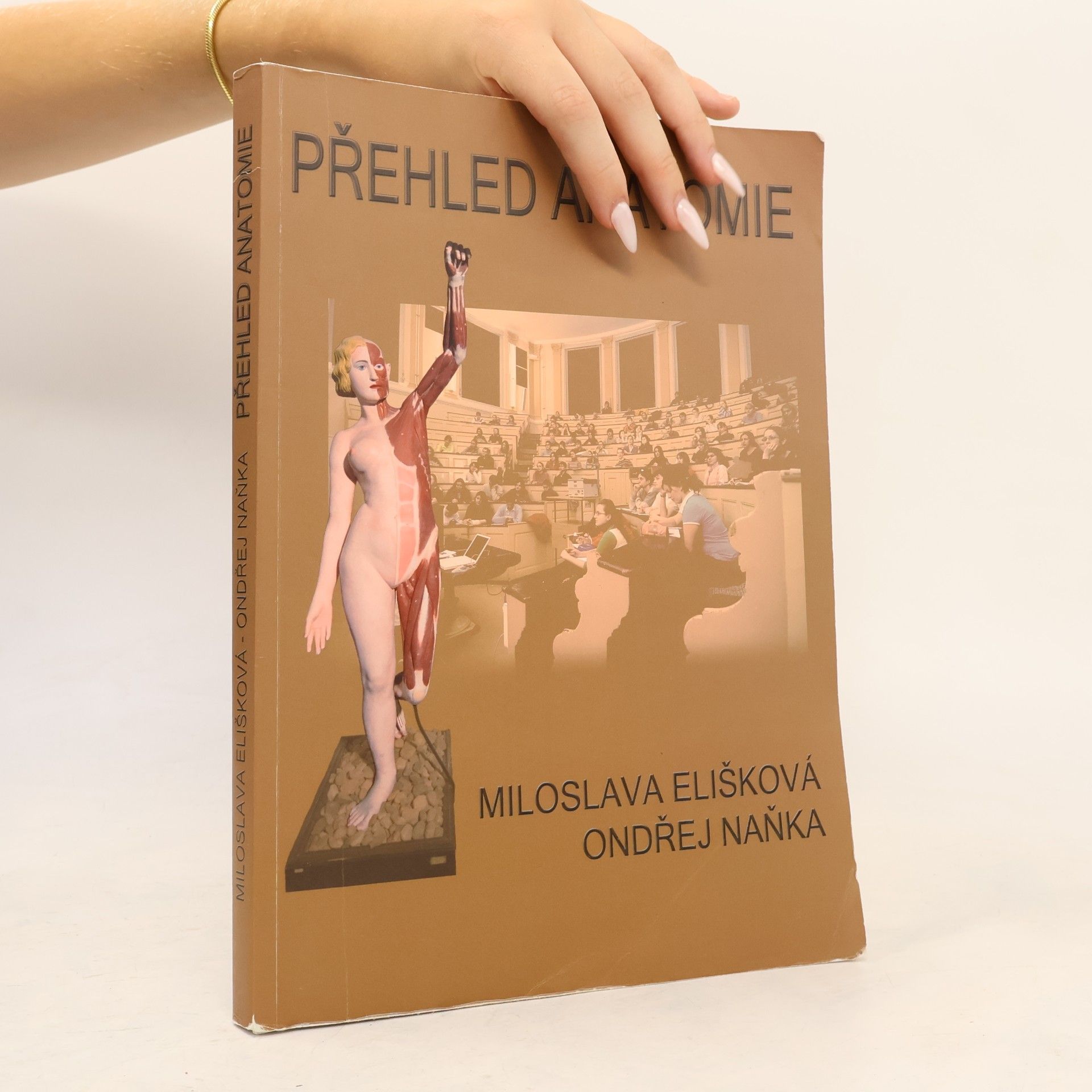 Miloslava Elišková Přehled anatomie