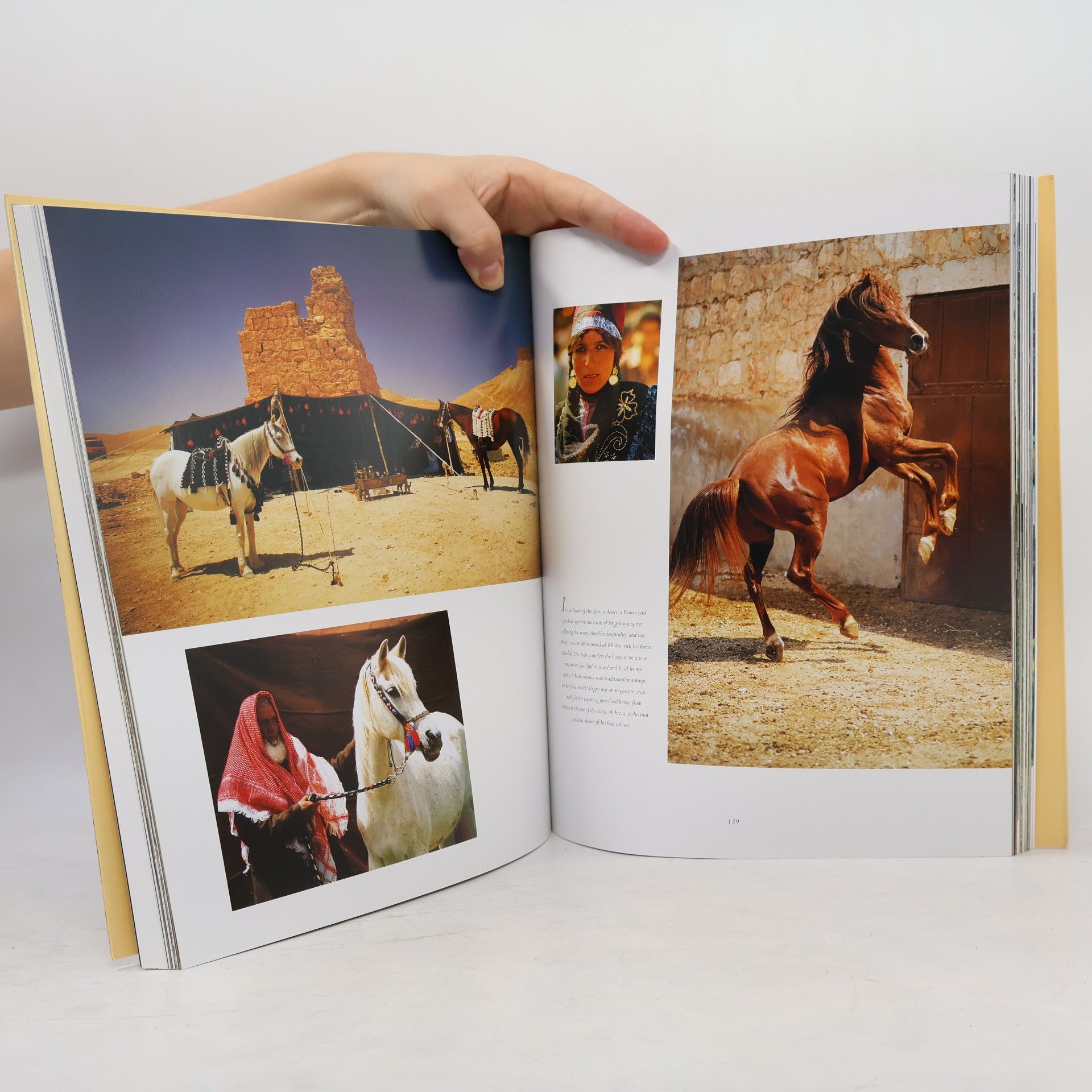 Peter Upton The Arabian Horse: Mystery, History and Magic