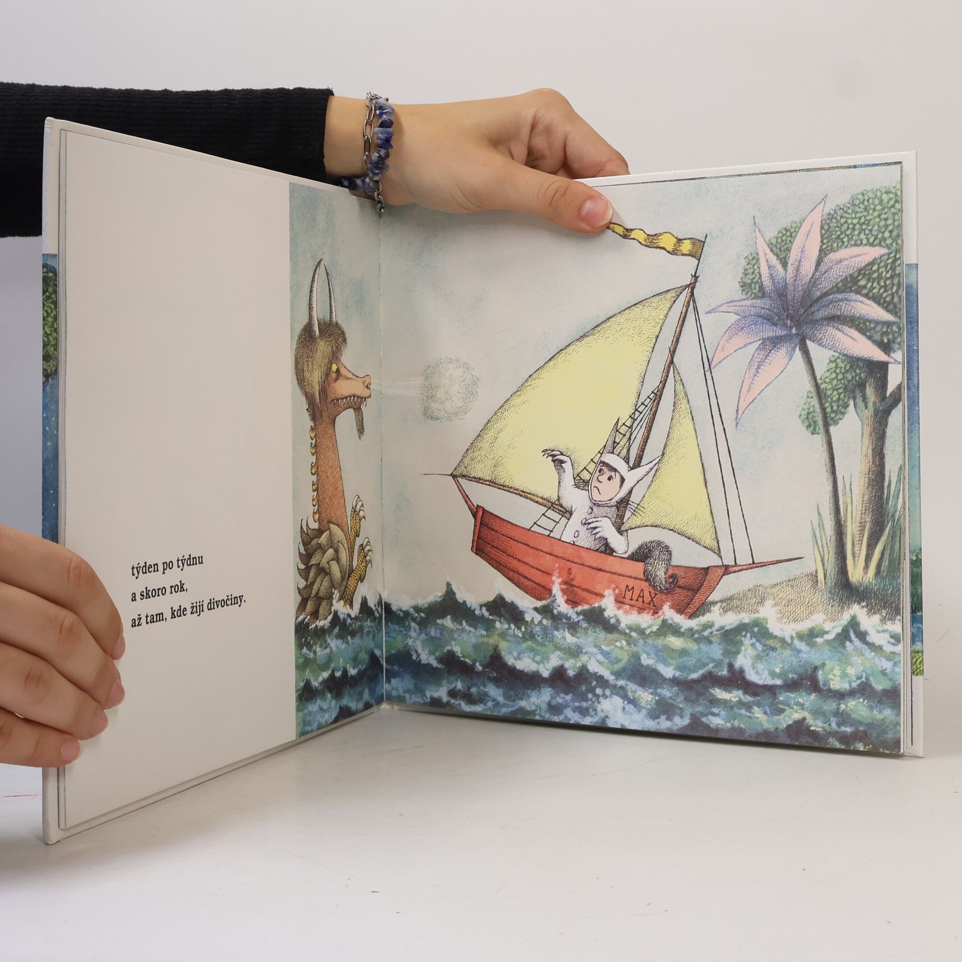 Maurice Sendak Tam kde žijí divočiny