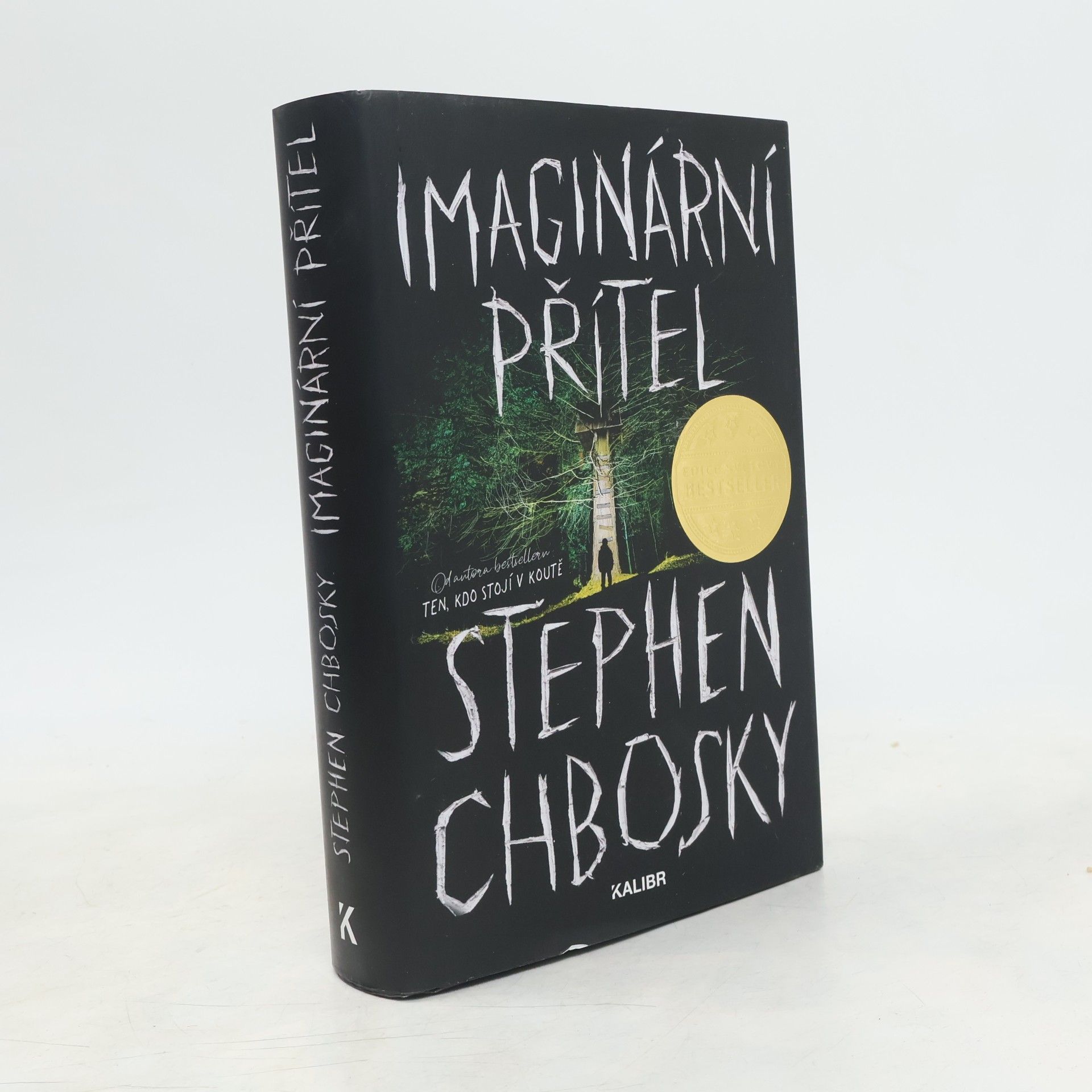 Stephen Chbosky Imaginární přítel