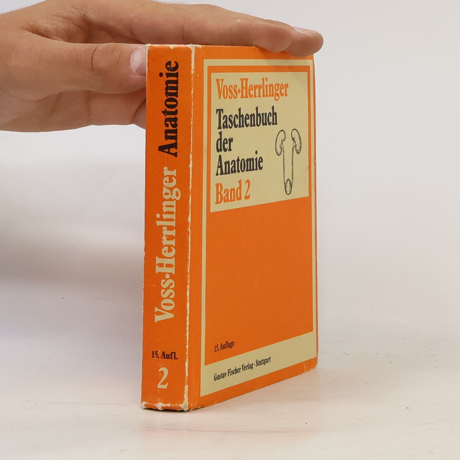 Walther Graumann Taschenbuch der Anatomie