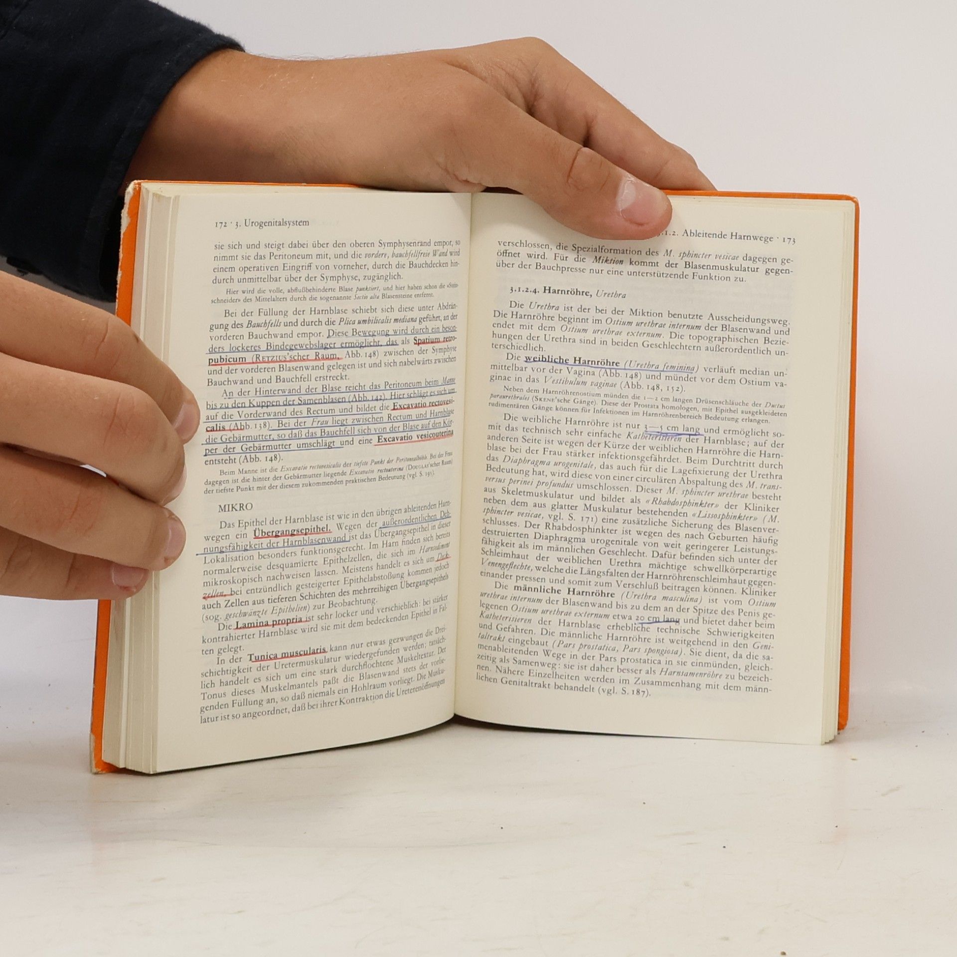 Hermann Voss Taschenbuch der Anatomie