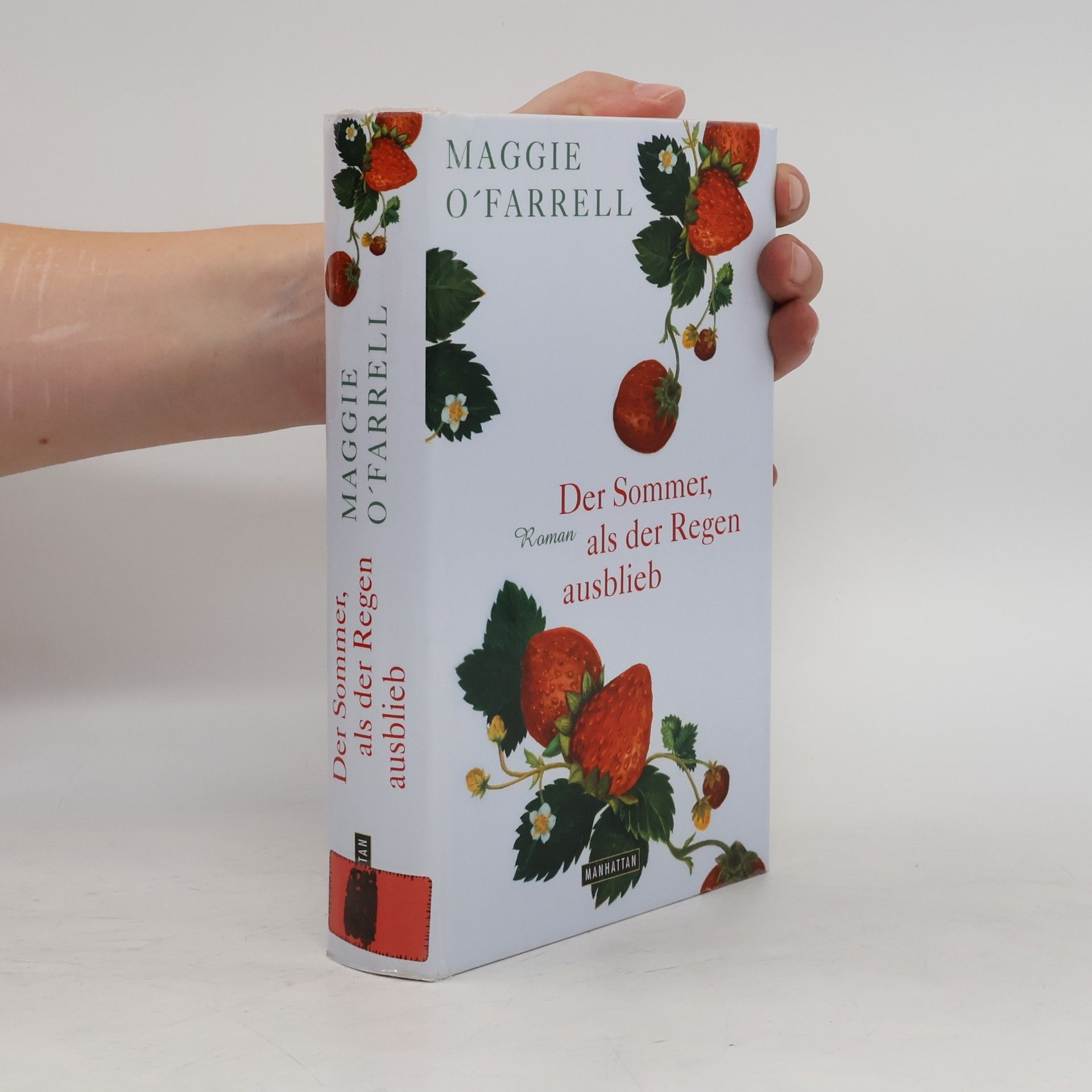 Maggie O. Farrell Der Sommer, als der Regen ausblieb
