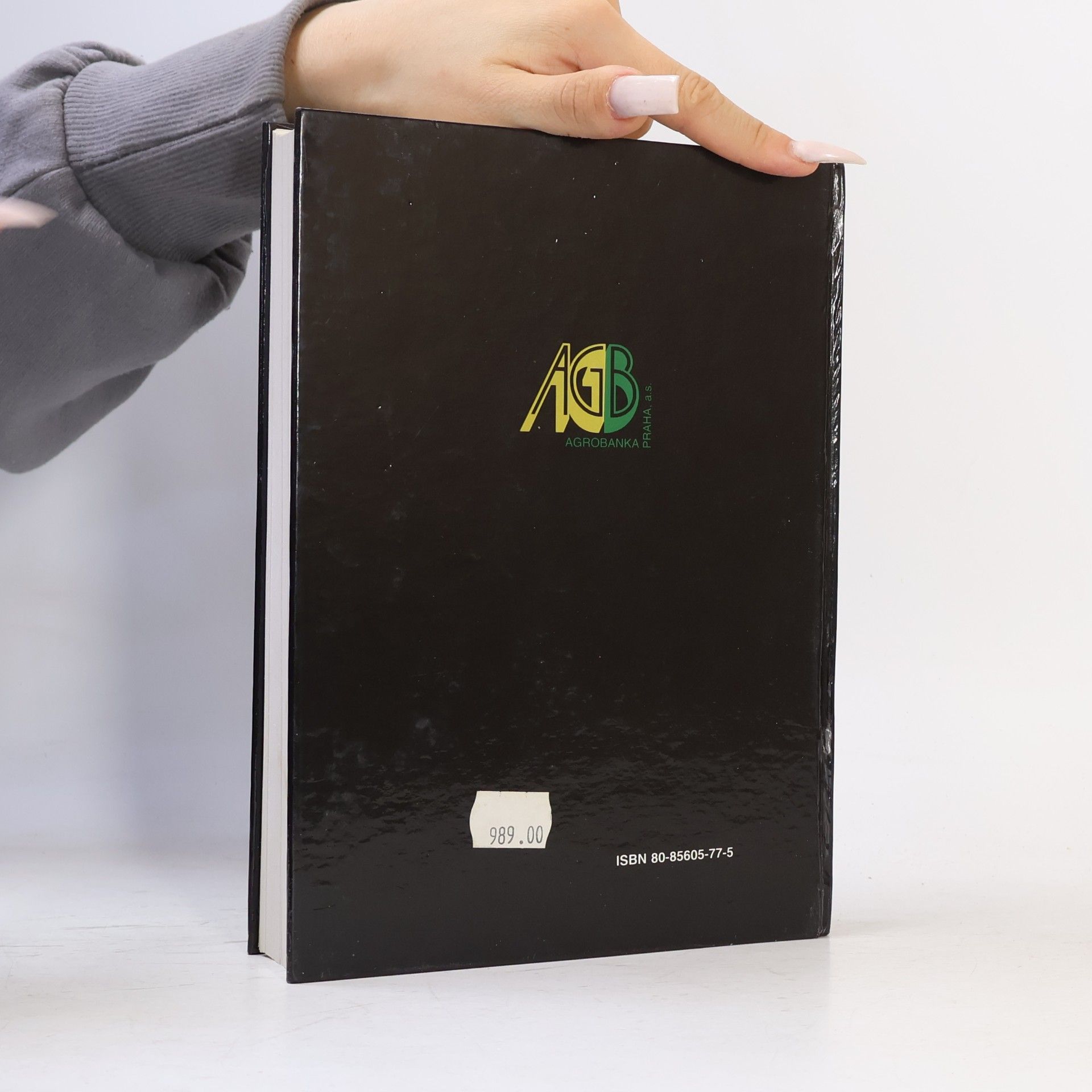 Autorenkollektiv Anglicko-český ekonomický slovník M-Z