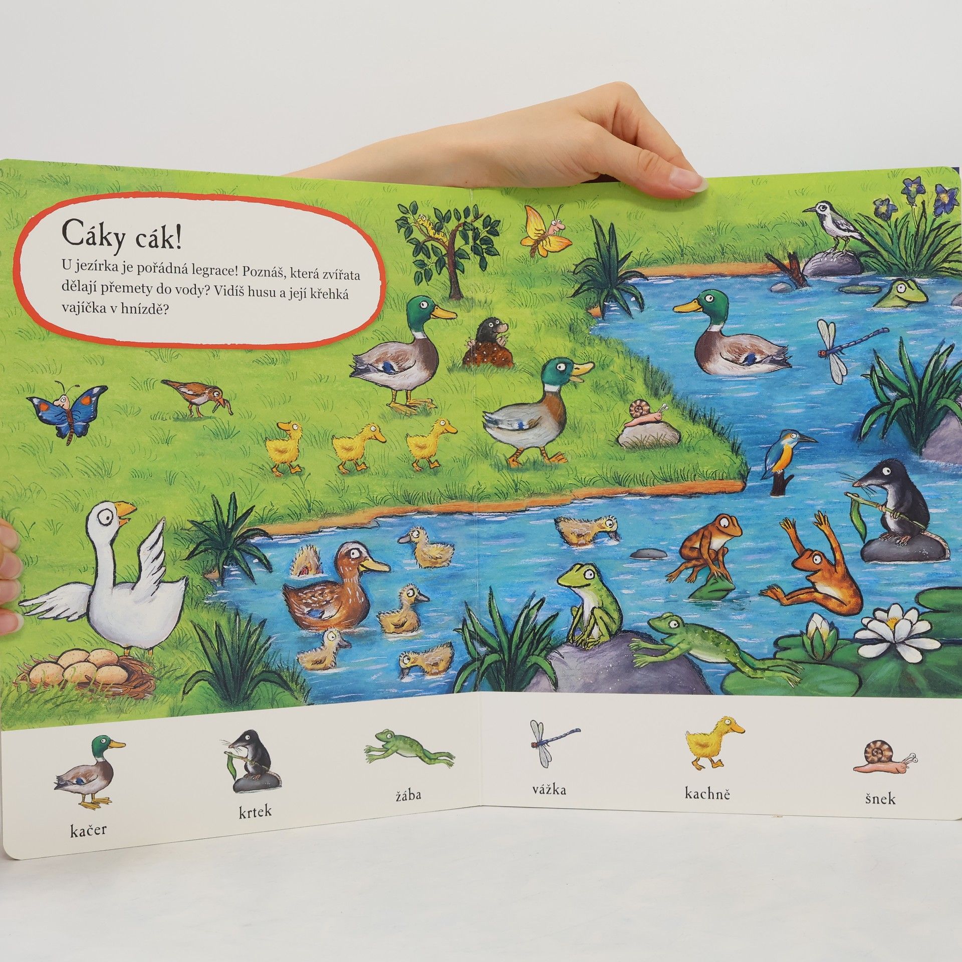Axel Scheffler Na farmě: moje první - hledej a najdi!