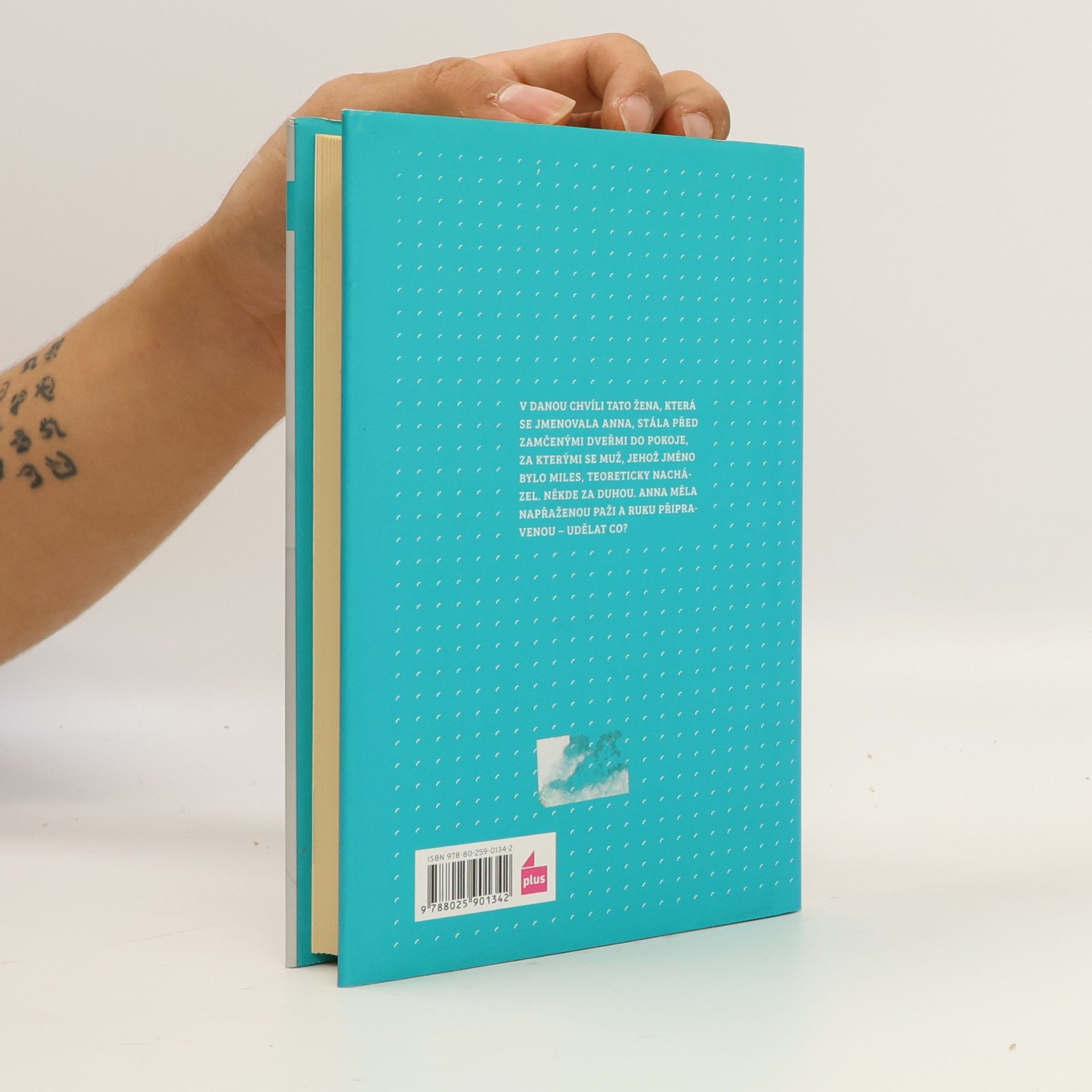 Ali Smith Tam někde za duhou