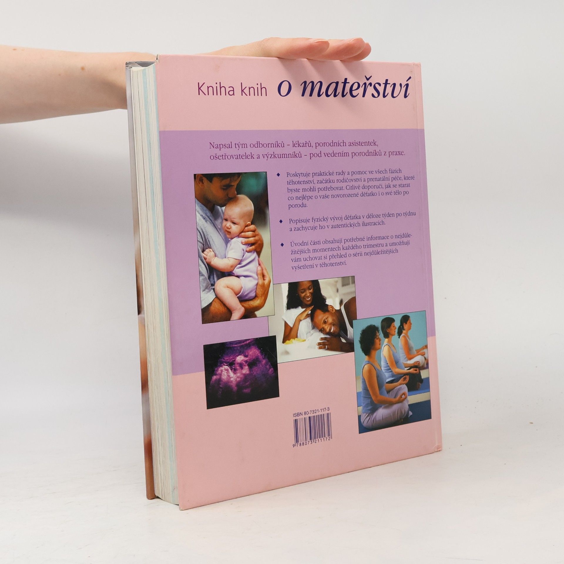 Anne Deans O mateřství : kniha knih