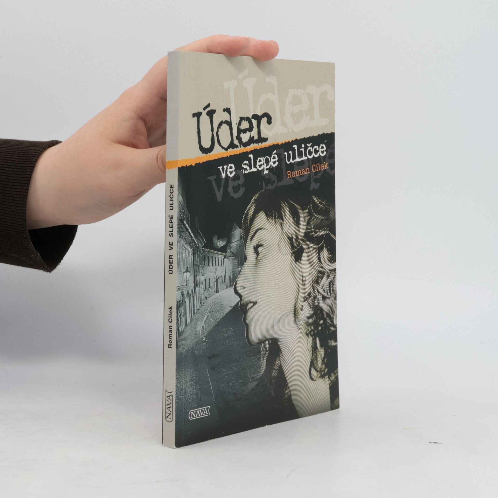 Roman Cílek Úder ve slepé uličce