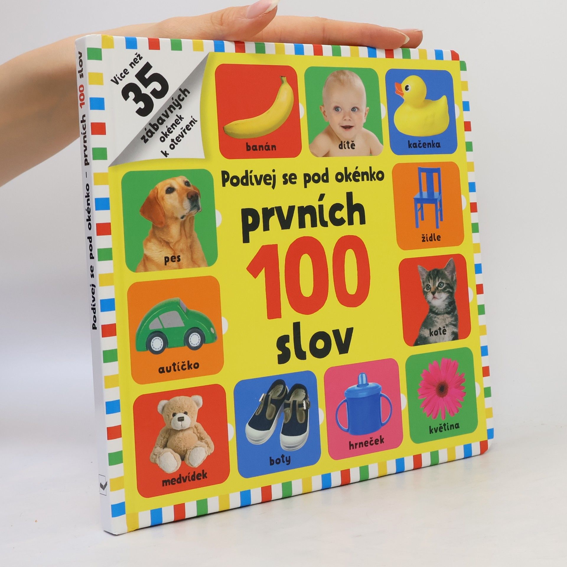 Kolektiv autorů Prvních 100 slov