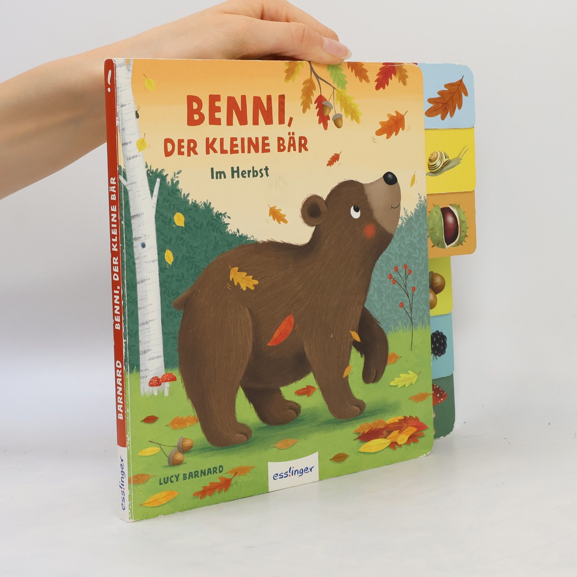 Anja Kiel Mein erstes Jahreszeitenbuch: Benni, der kleine Bär