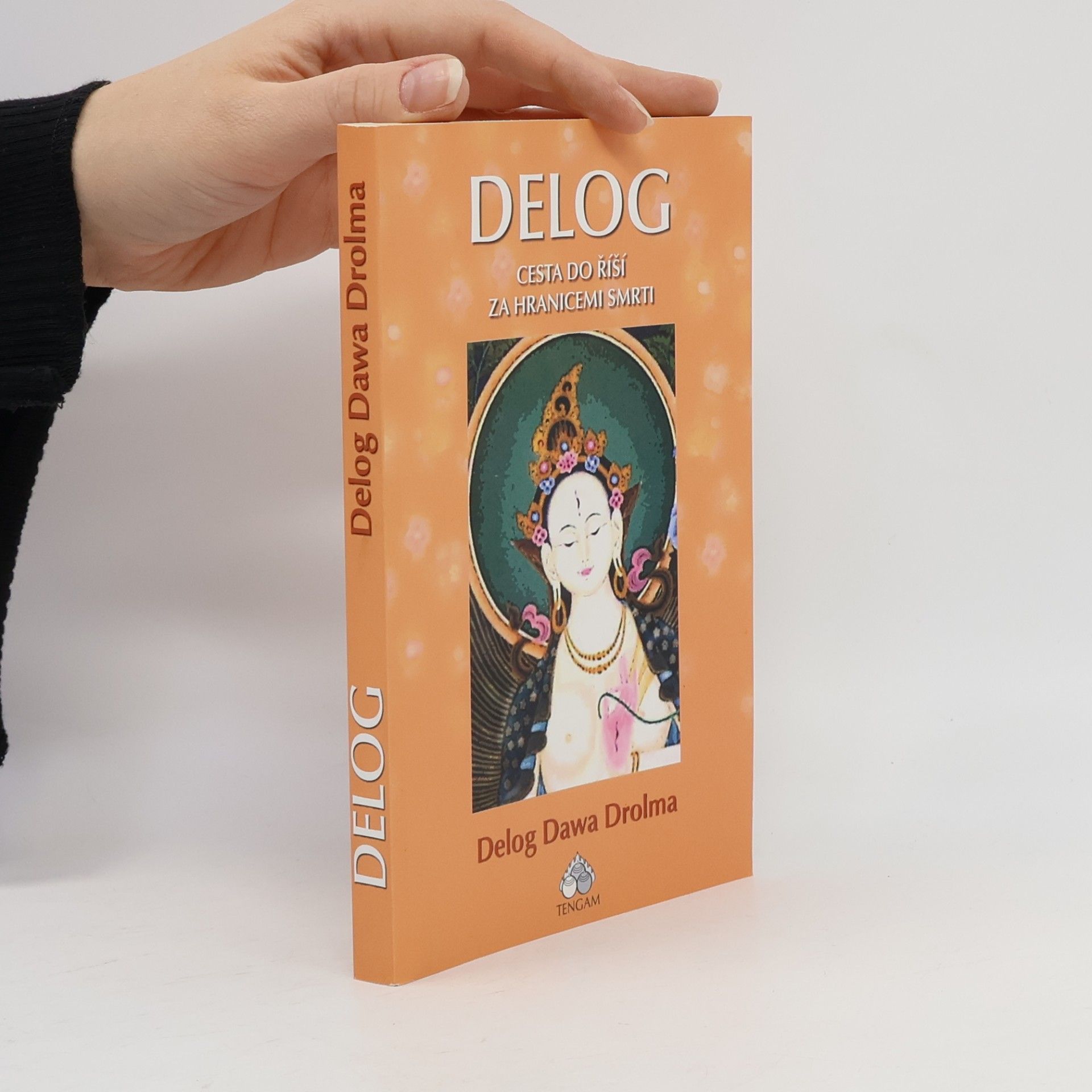 Delog Dawa Drolma Delog: Cesta do říší za hranicemi smrti