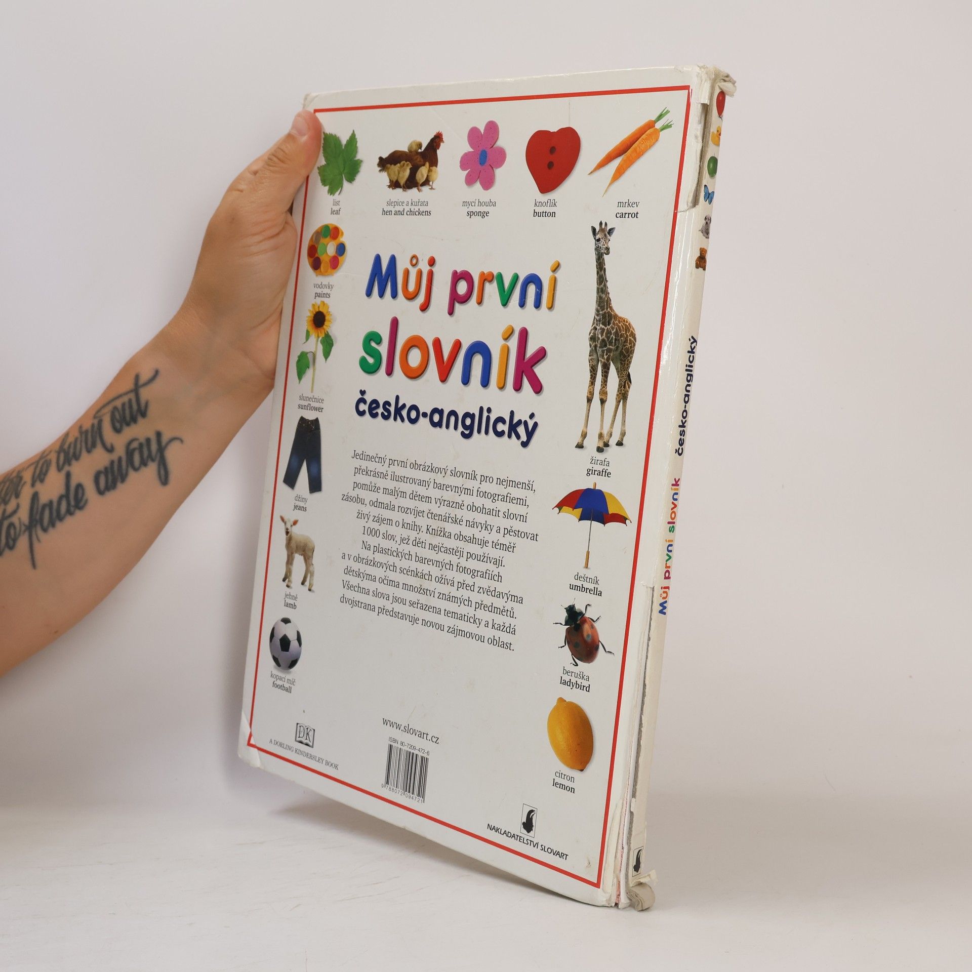 Angela Wilkes Můj první slovník. Česko-anglický