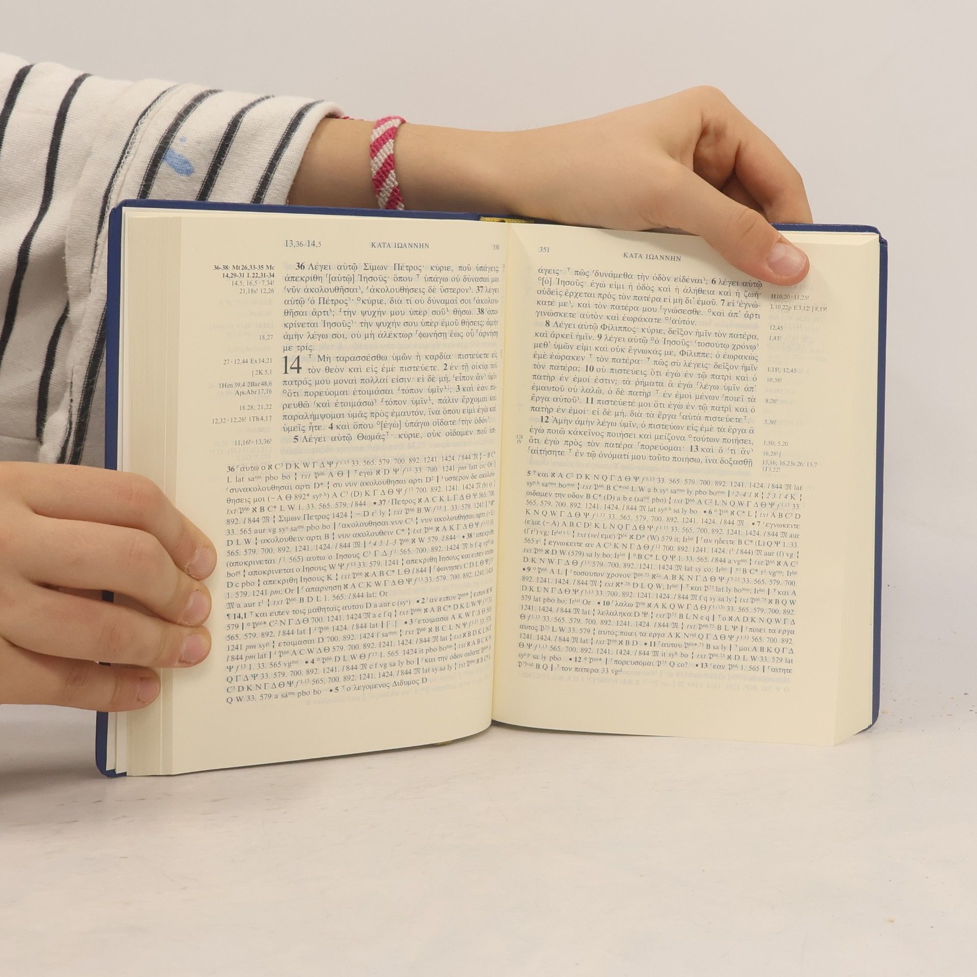Kurt Aland Novum Testamentum Graece