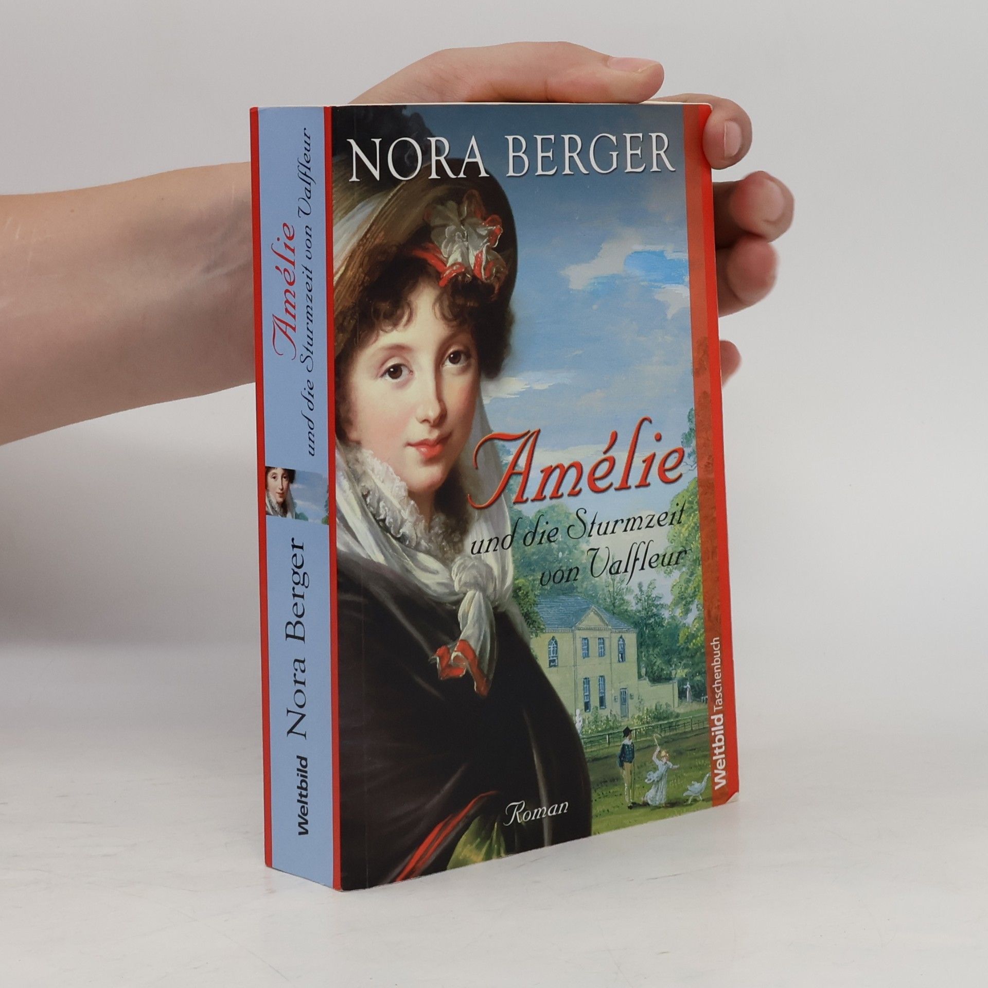Amélie und die Sturmzeit von Valfleur