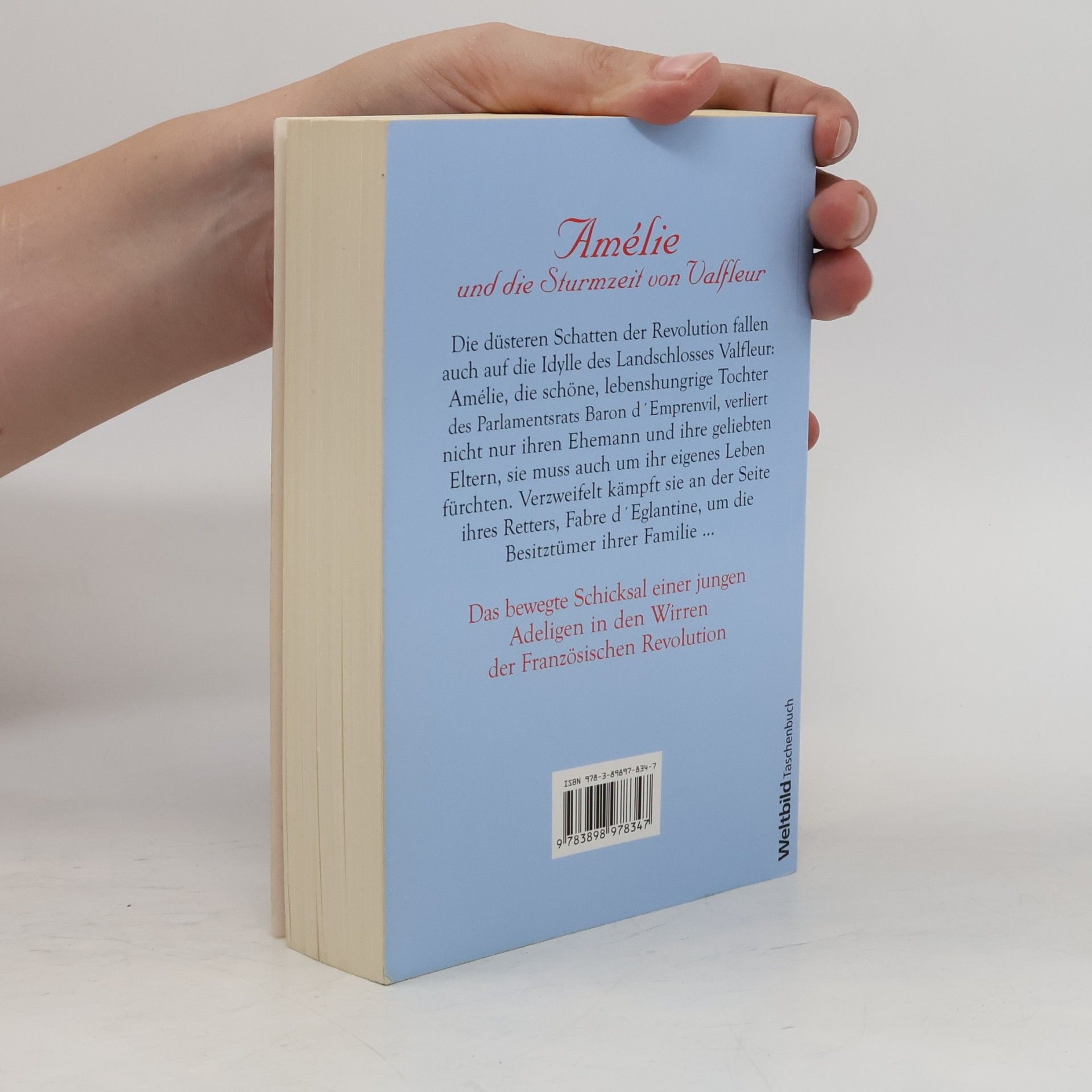 Nora Berger Amélie und die Sturmzeit von Valfleur