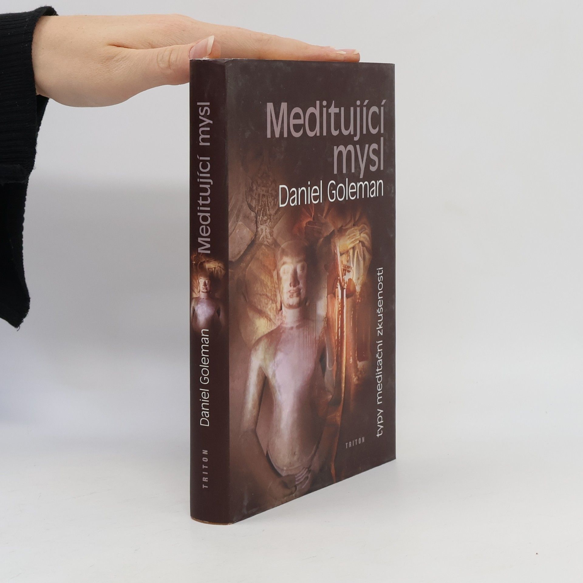Jaroslav Vacek Meditující mysl : typy meditační zkušenosti