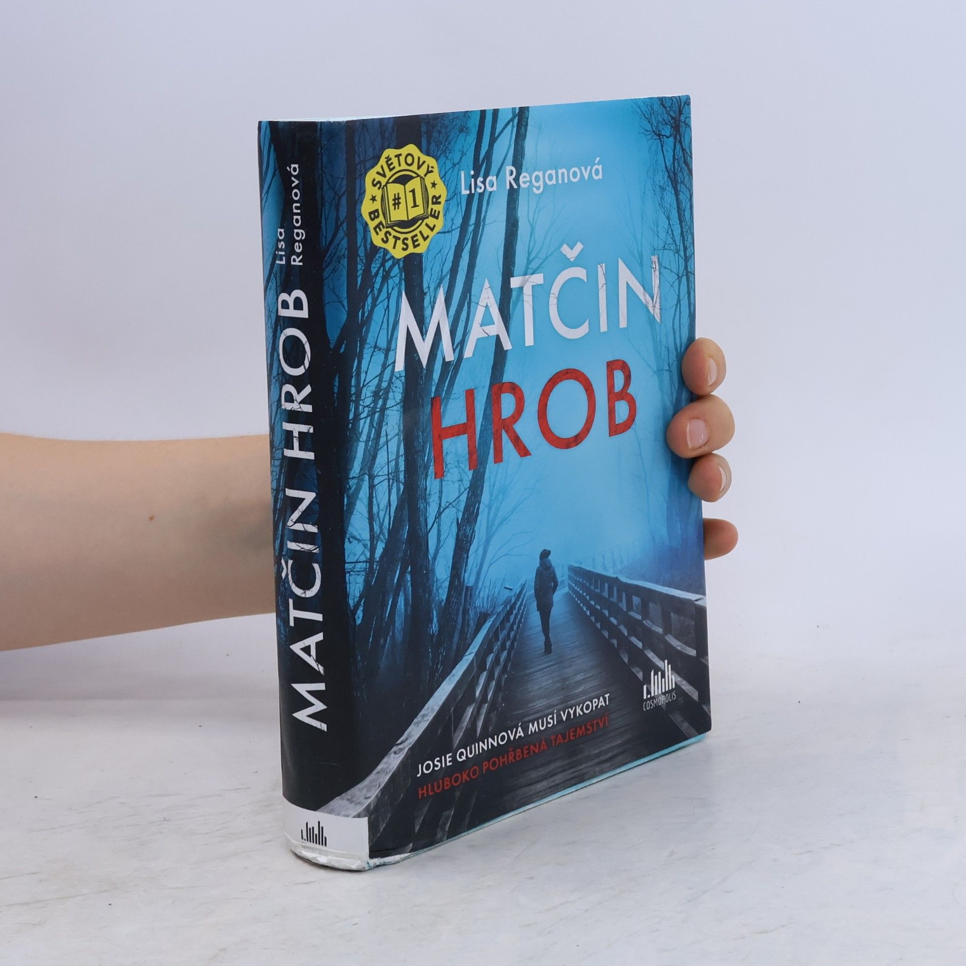 Lisa Regan Matčin hrob