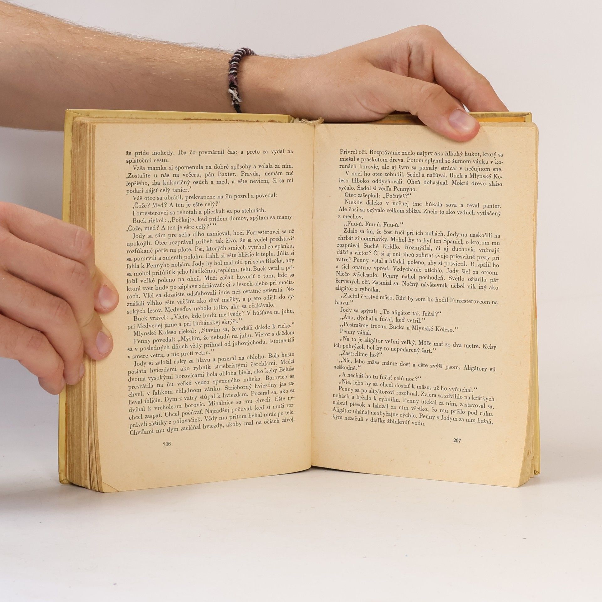 Marjorie Kinnan Rawlings Dieťa divočiny