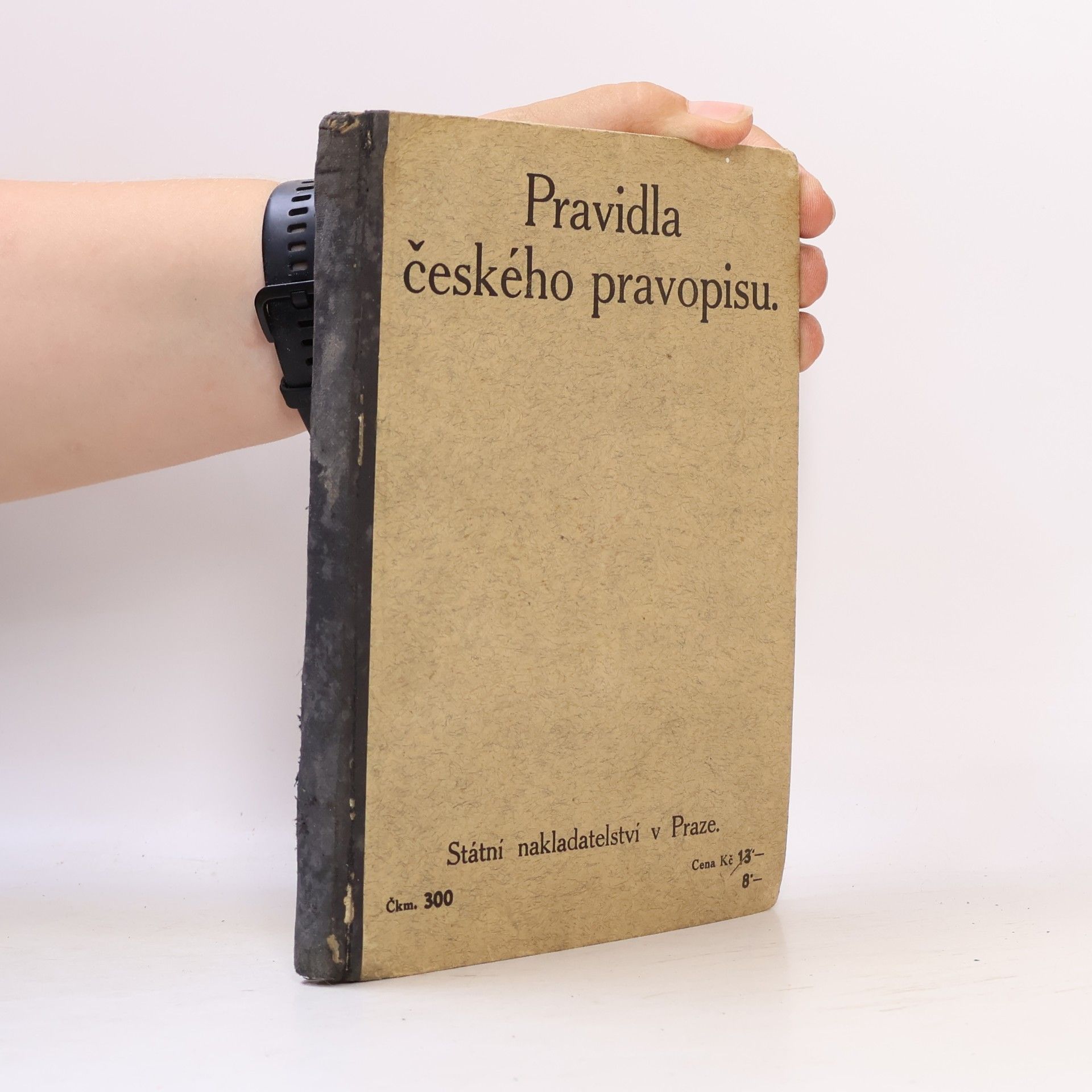 Kolektív autorov Pravidla českého pravopisu s abecedním seznamem slov a tvarů