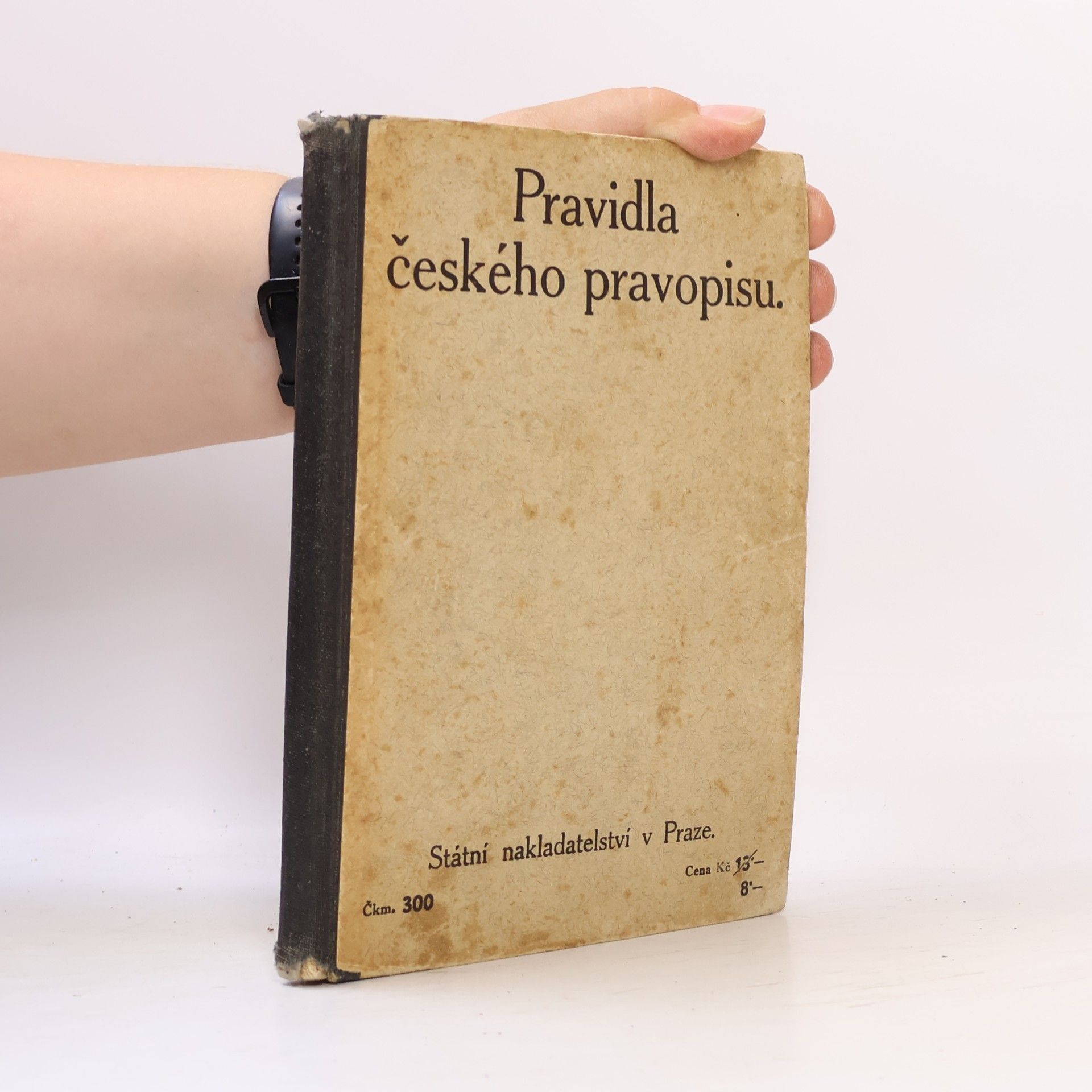 Autorenkollektiv Pravidla českého pravopisu s abecedním seznamem slov a tvarů