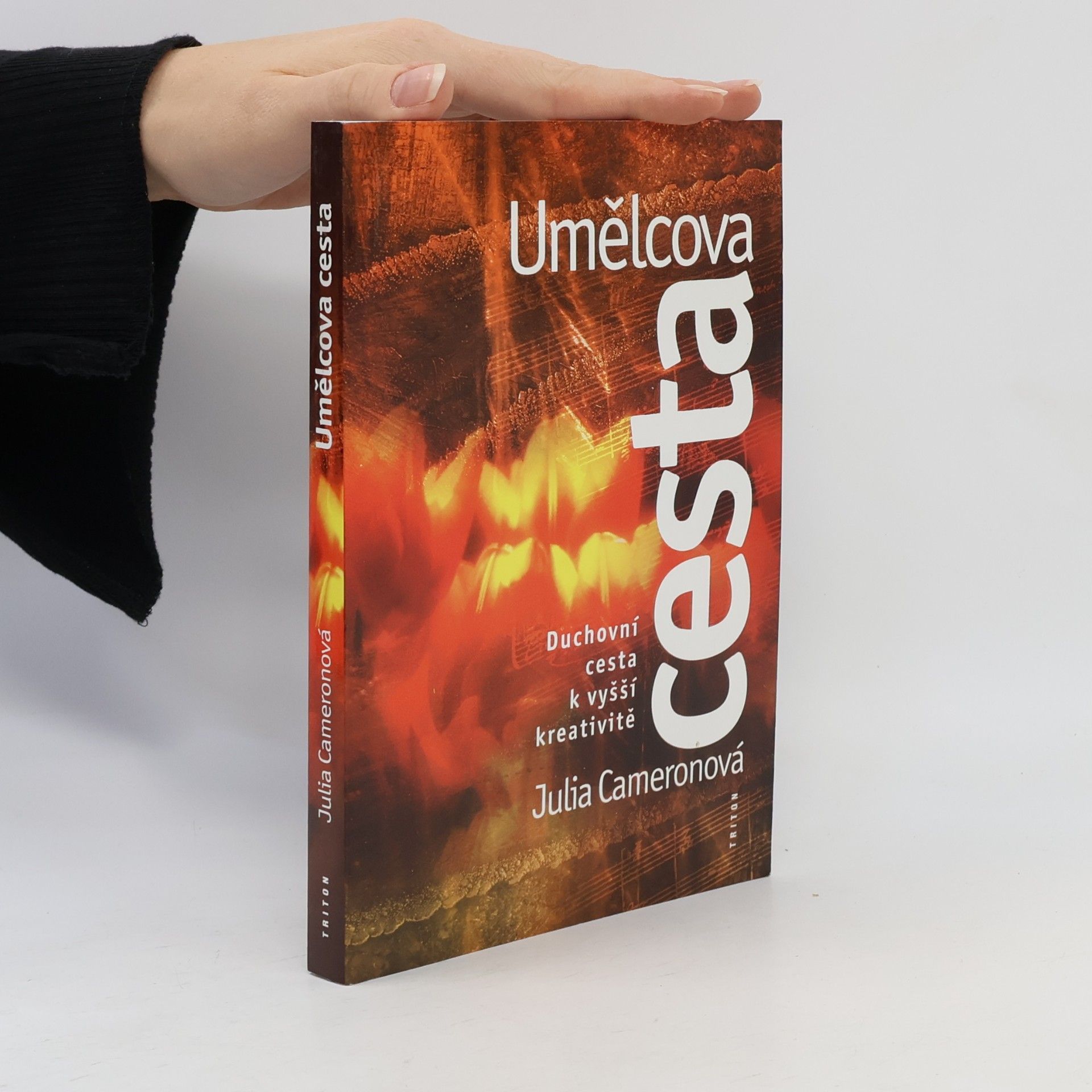 Julia Cameron Umělcova cesta