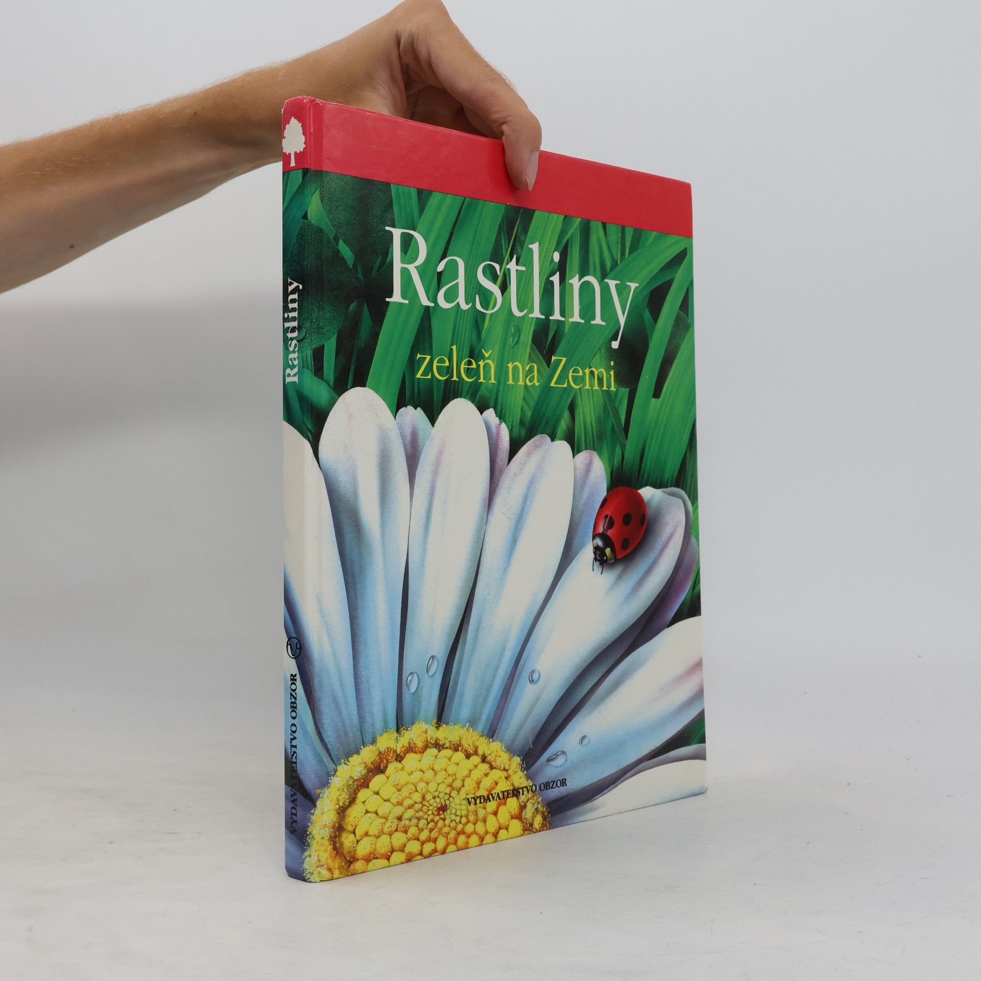 Various authors Rastlinky zeleň na zemi