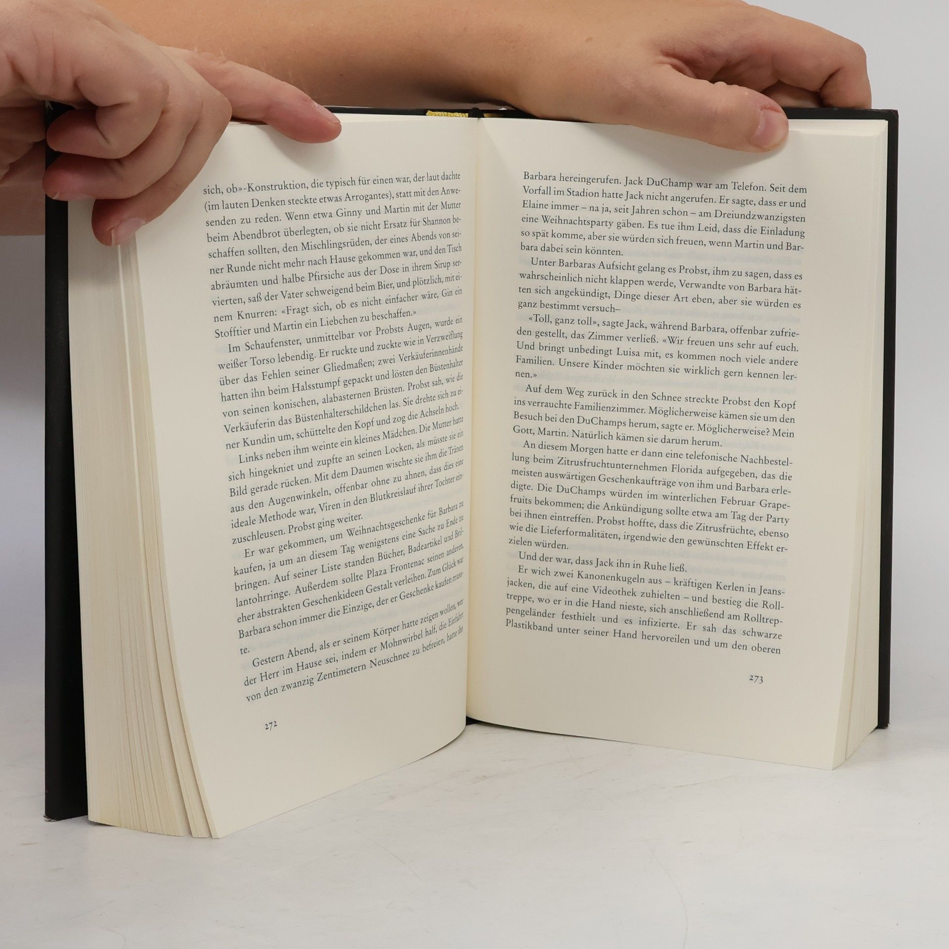 Jonathan Franzen Die 27ste Stadt