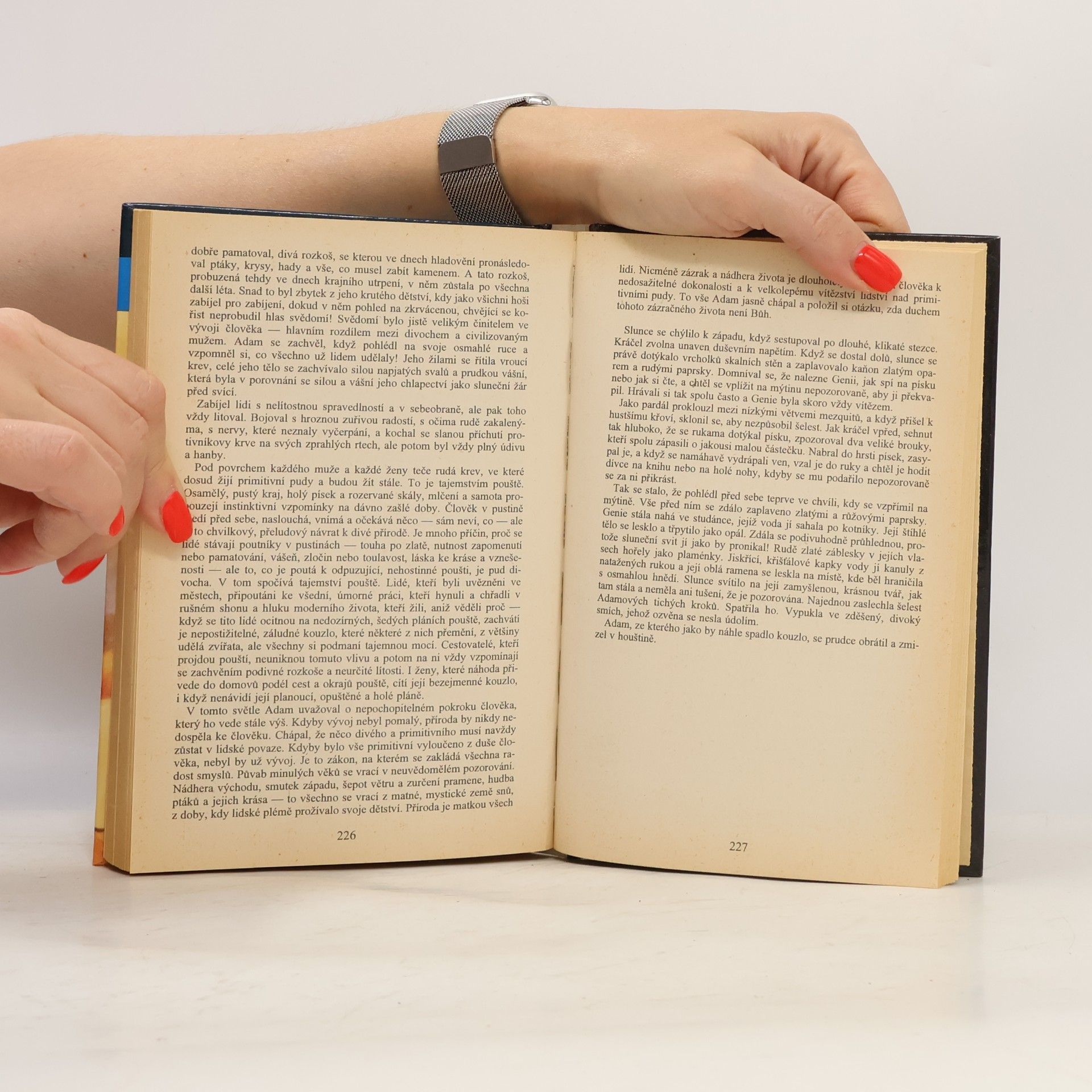 Zane Grey Poutník v pustinách